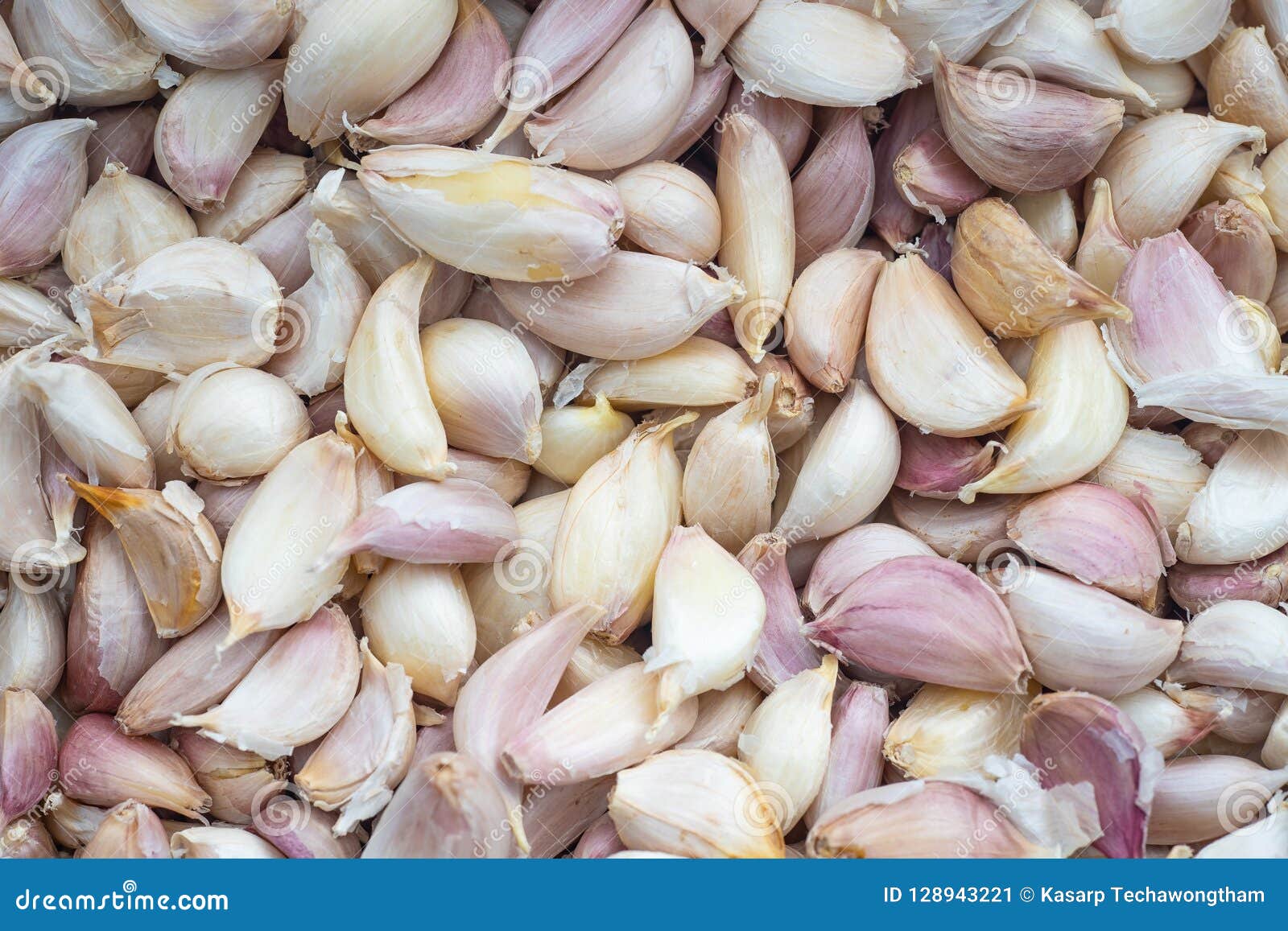 Elephant Garlic Seed , Organic Garlic Cloves Stock Image Image of