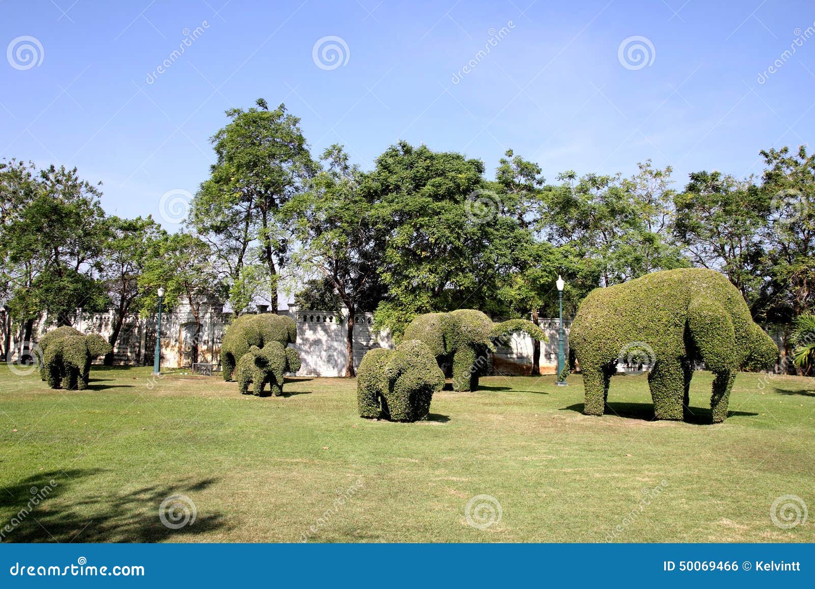 elephant grass sculptures at ayutthaya, thailand