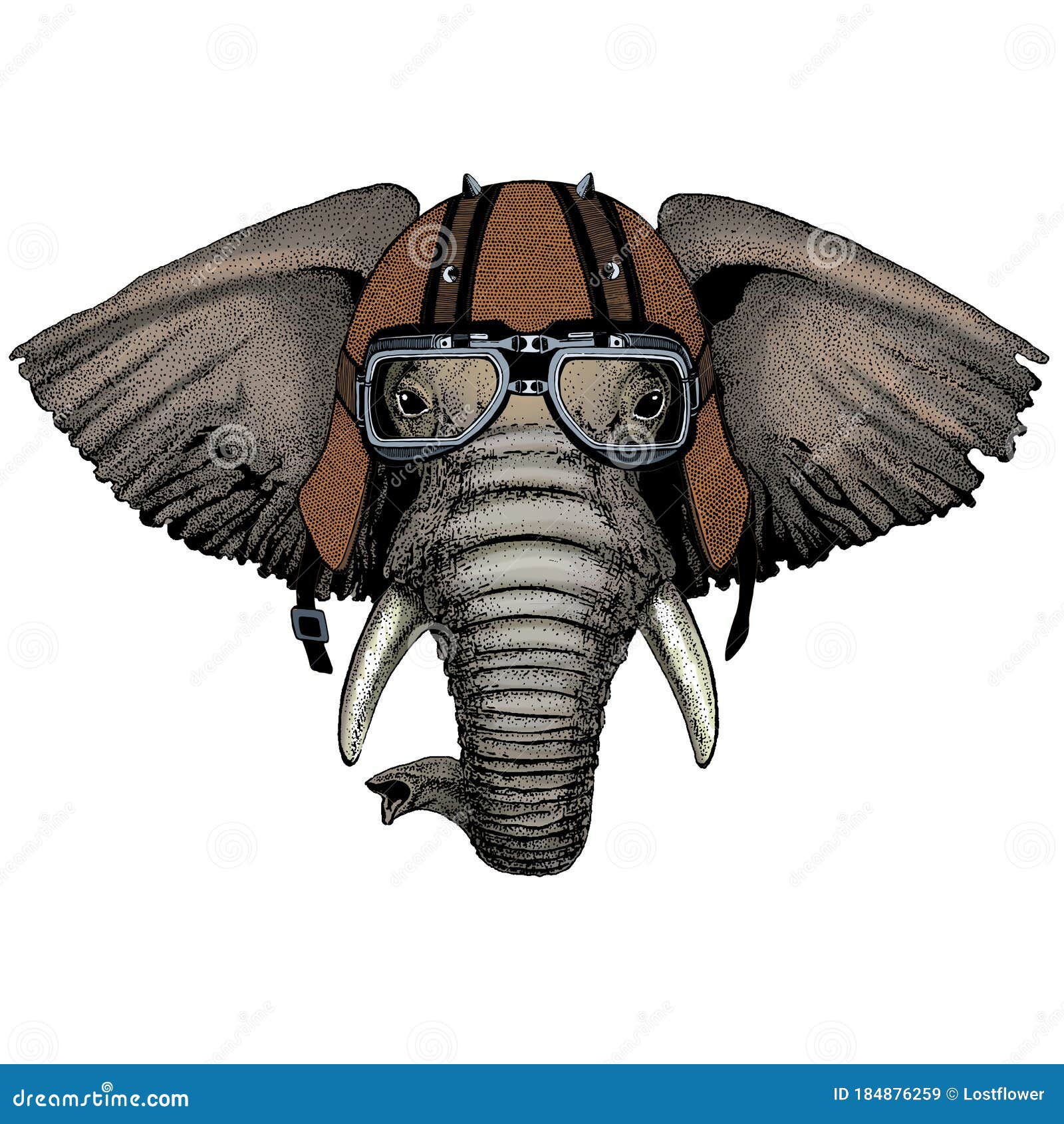 Elephant Head. Portrait of Wild Animal. Motorcycle Helmet. Stock Vector