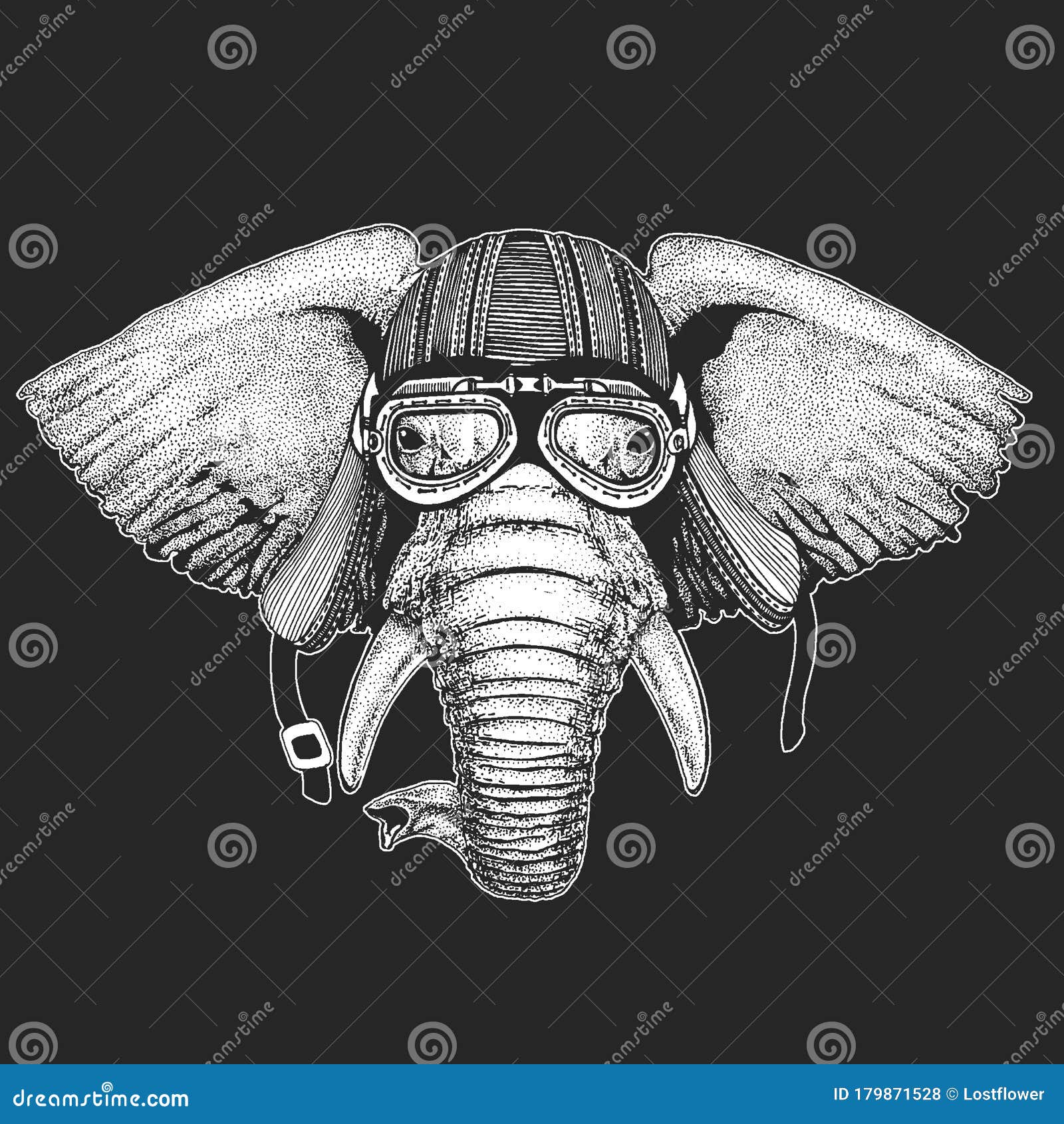 Elephant Head. Portrait of Wild Animal. Stock Vector - Illustration of