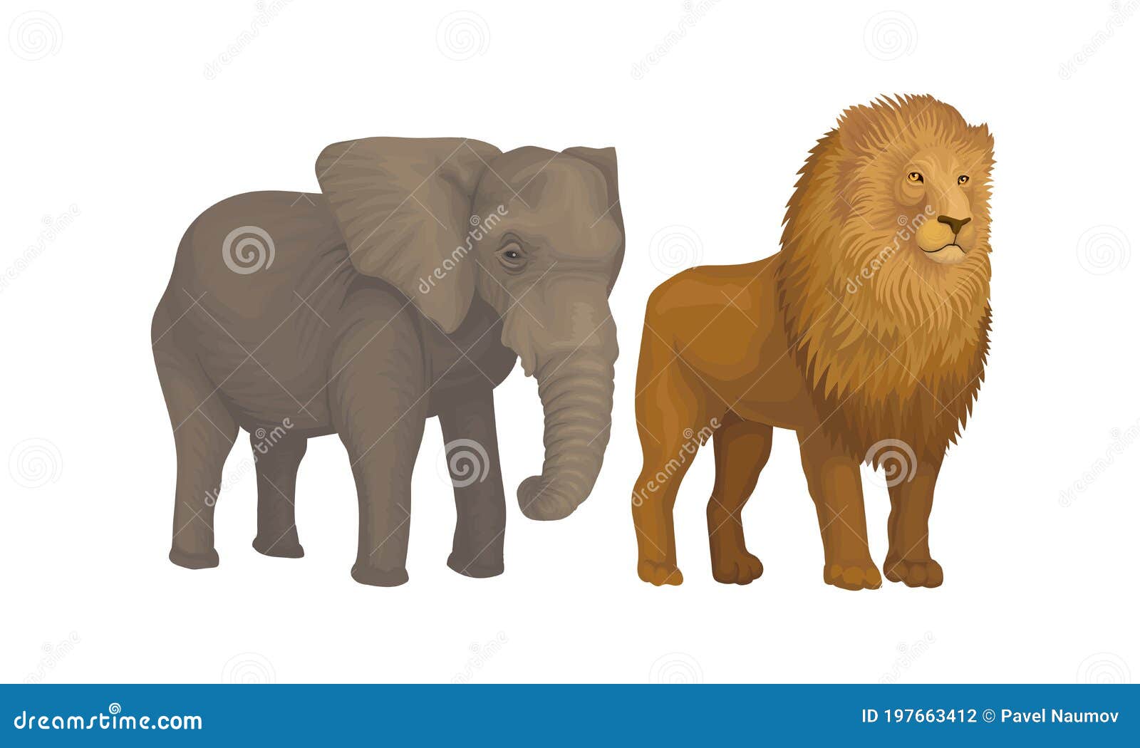 Elephant with Long Trunk and Lion with Mane As African Animal Vector Set  Stock Vector - Illustration of outdoor, graphic: 197663412