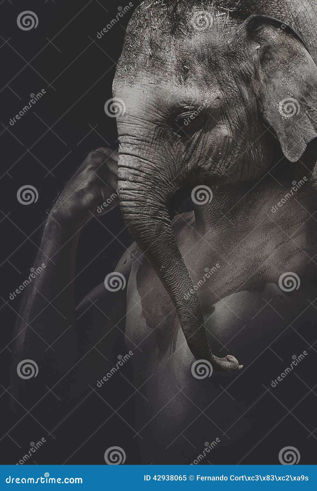 Elephant Naked