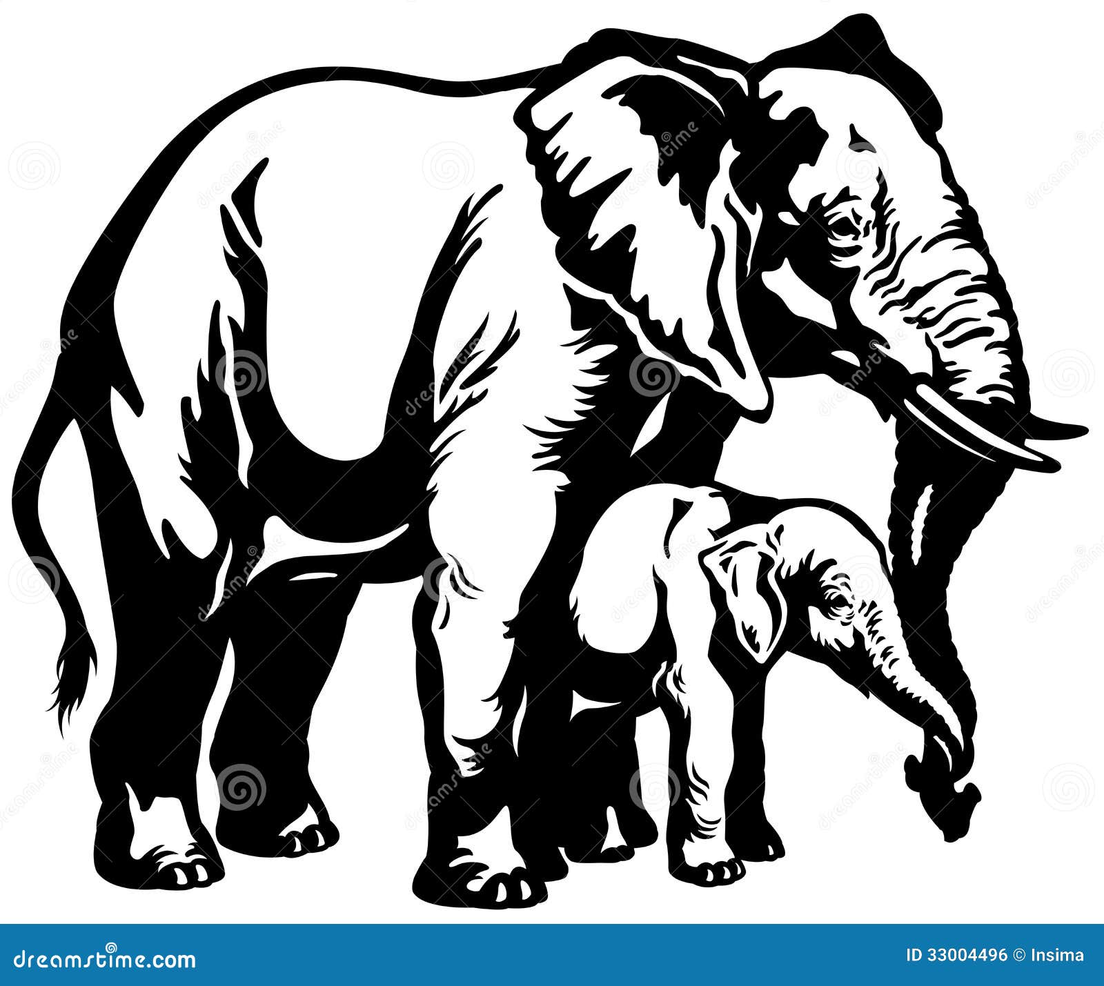 elephant clipart front view - photo #31