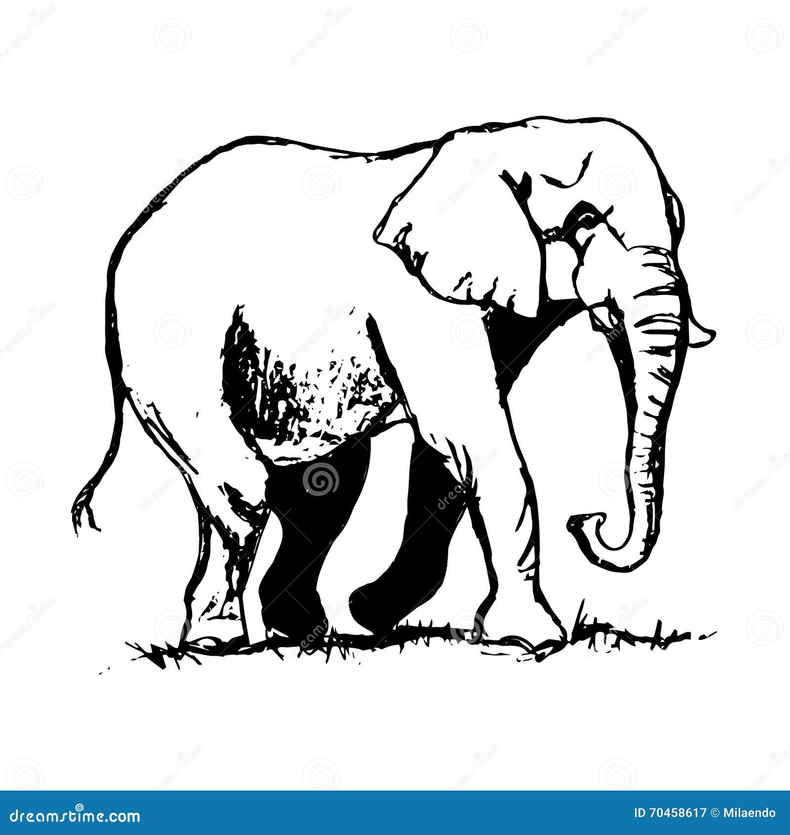 Endless line art illustration of elephant. continuous black outline drawing  on white background. | CanStock