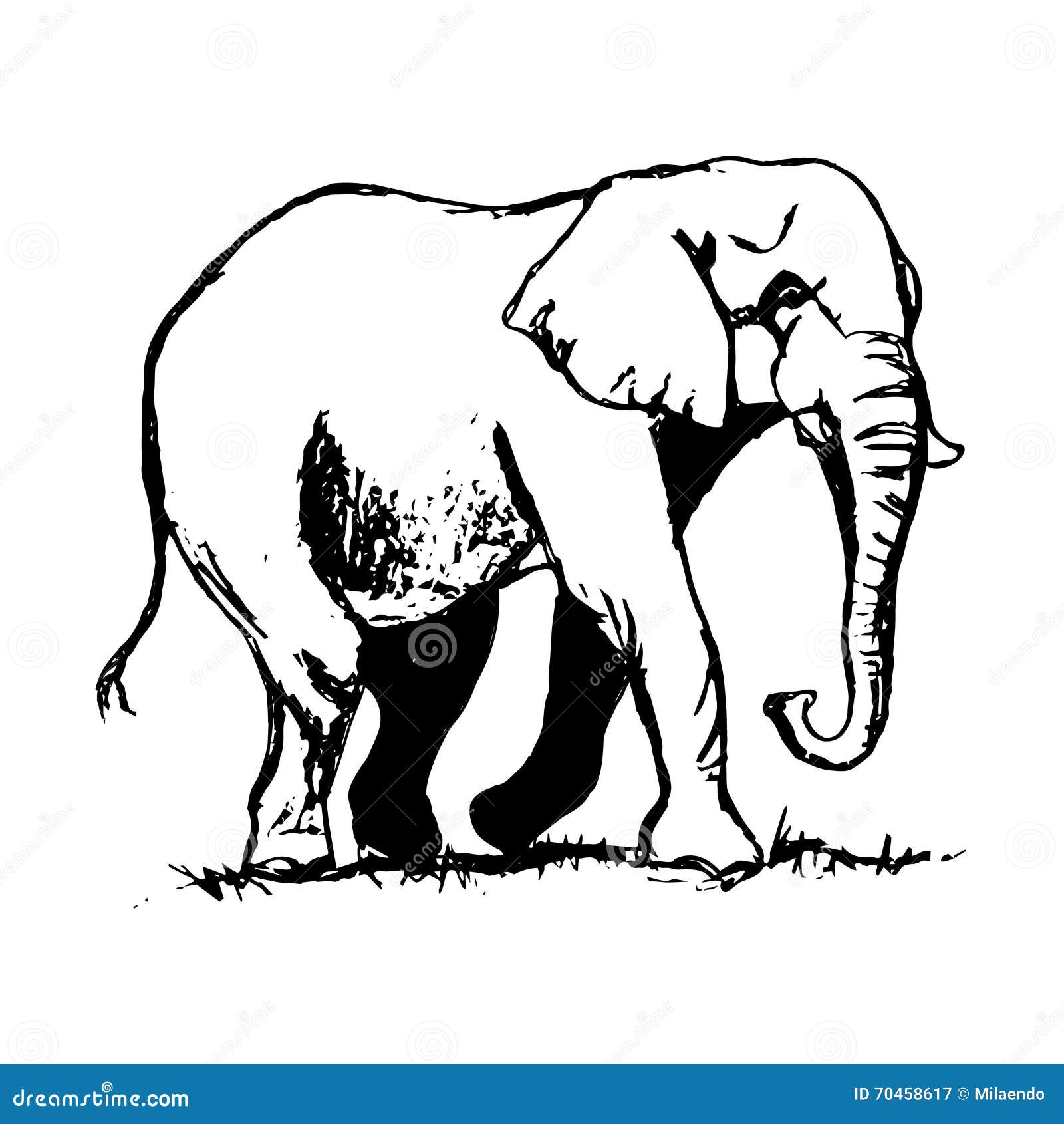 Free Free Elephant Sketch Svg 662 SVG PNG EPS DXF File