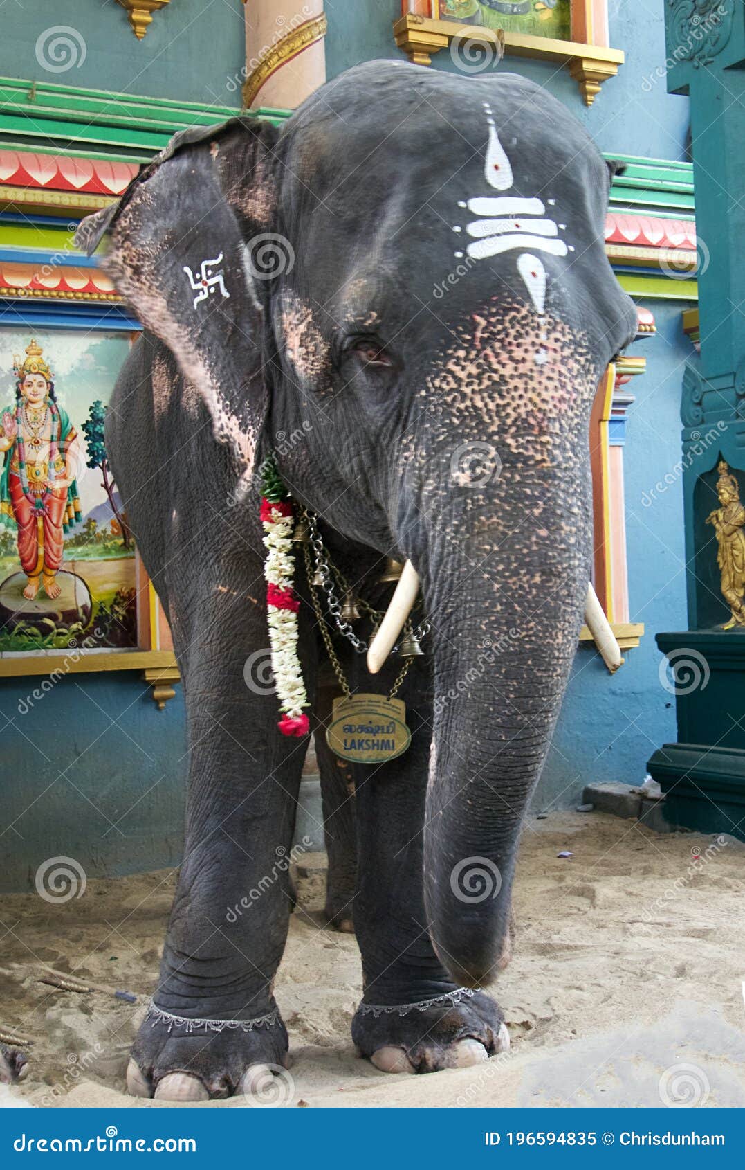 Elephant Outside Arulmigu Manakula Vinayagar, Temple Southern ...