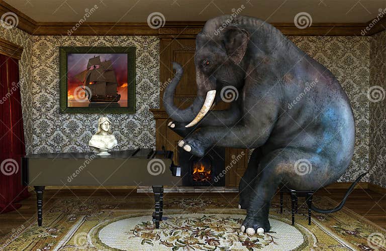 Elephant Play, Playing Piano, Music Lessons Stock Photo - Image of