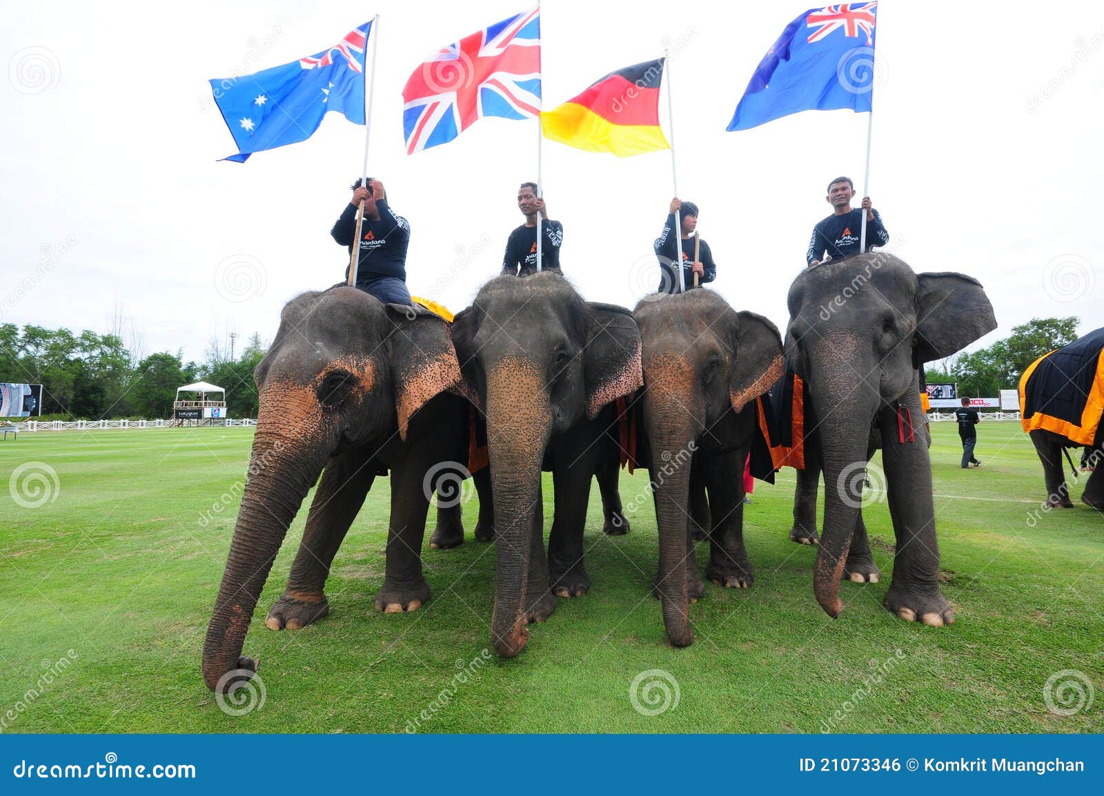 Elephant Polo editorial photo. Image of ride, ball, competition 21073346