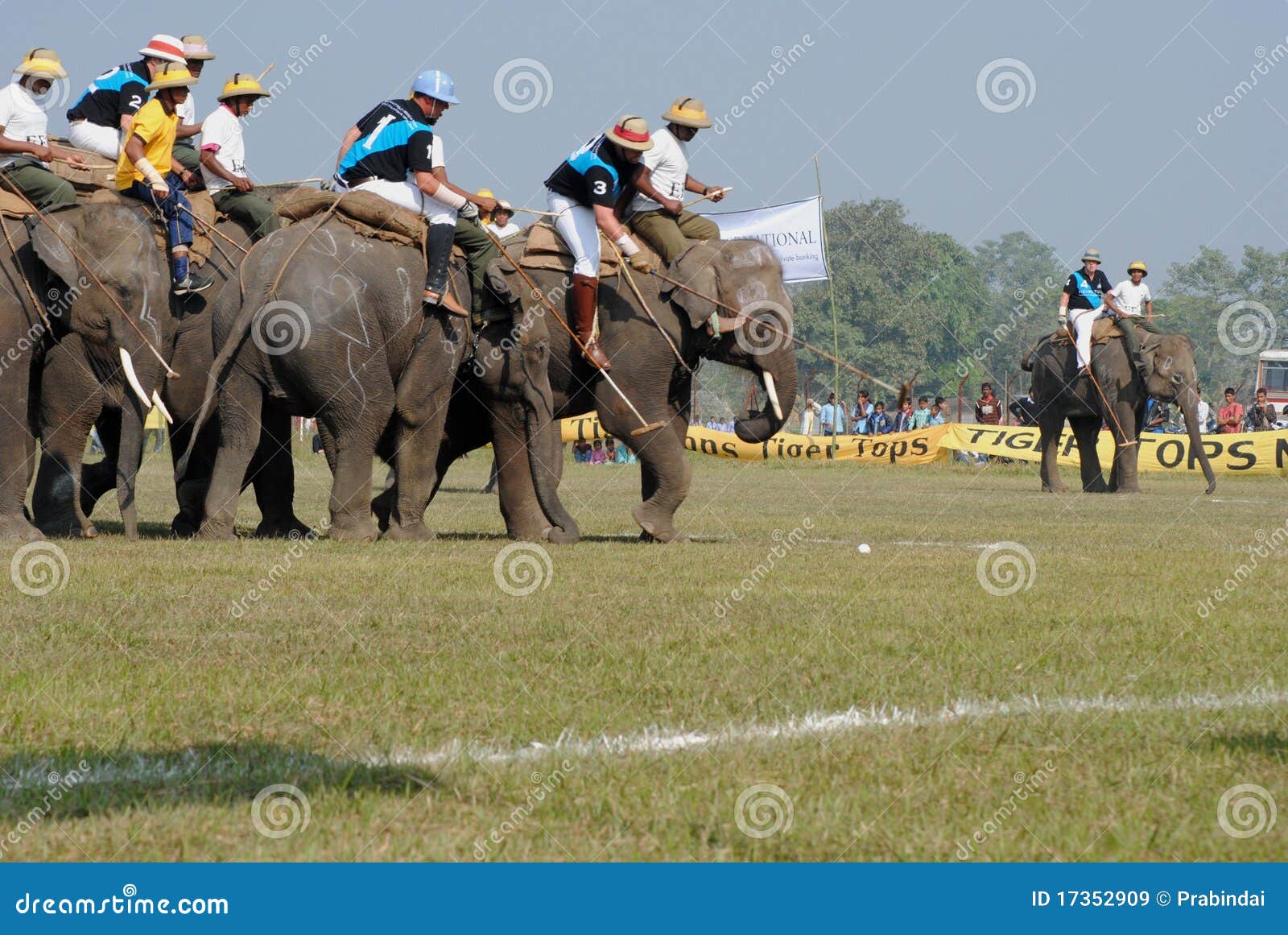 Elephant polo 3 editorial stock image. Image of championship 17352909
