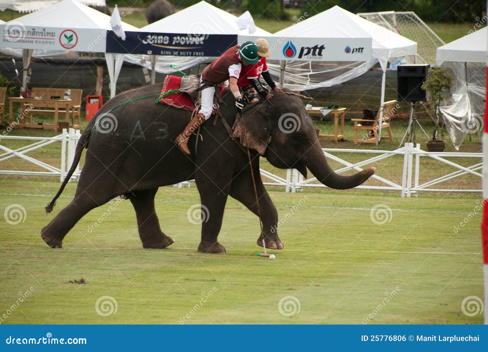 Elephant Polo Game Editorial Photo Image Of Group Asian