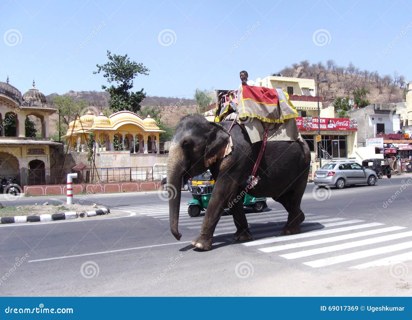 mahout india travel