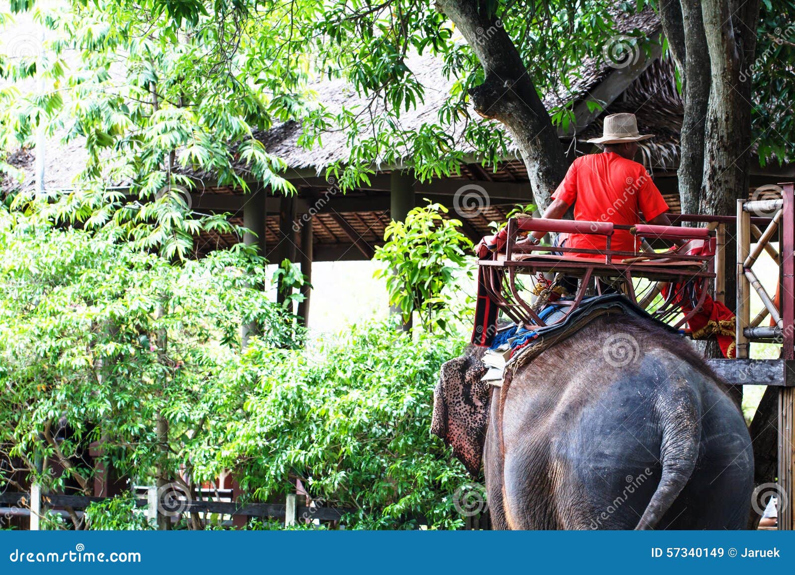 Elephant ride editorial stock image. Image of tourist 57340149