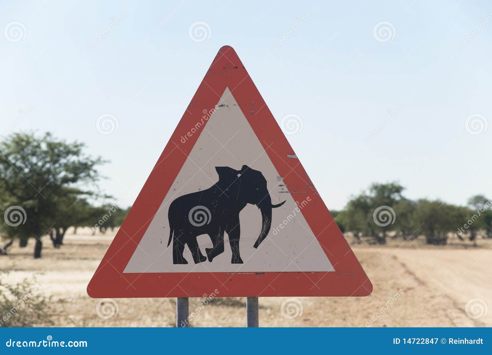 Elephant road sign stock image. Image of safety, animals 14722847
