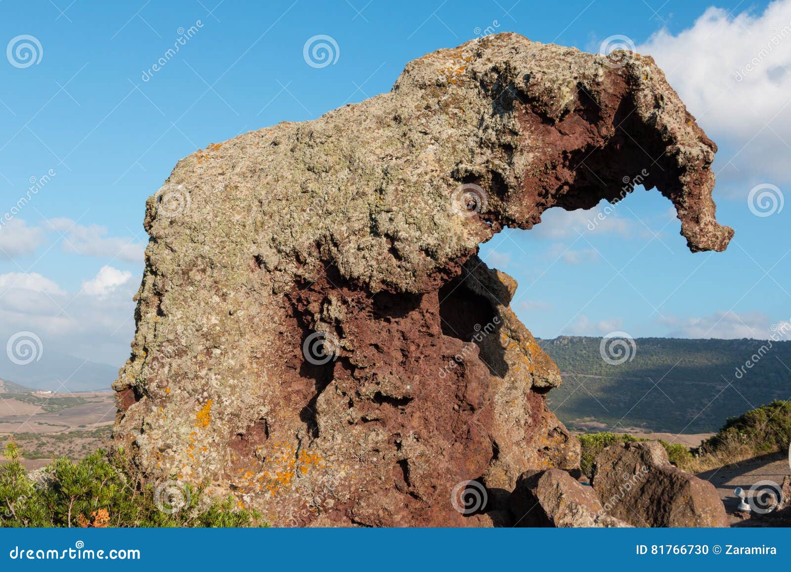 the elephant rock