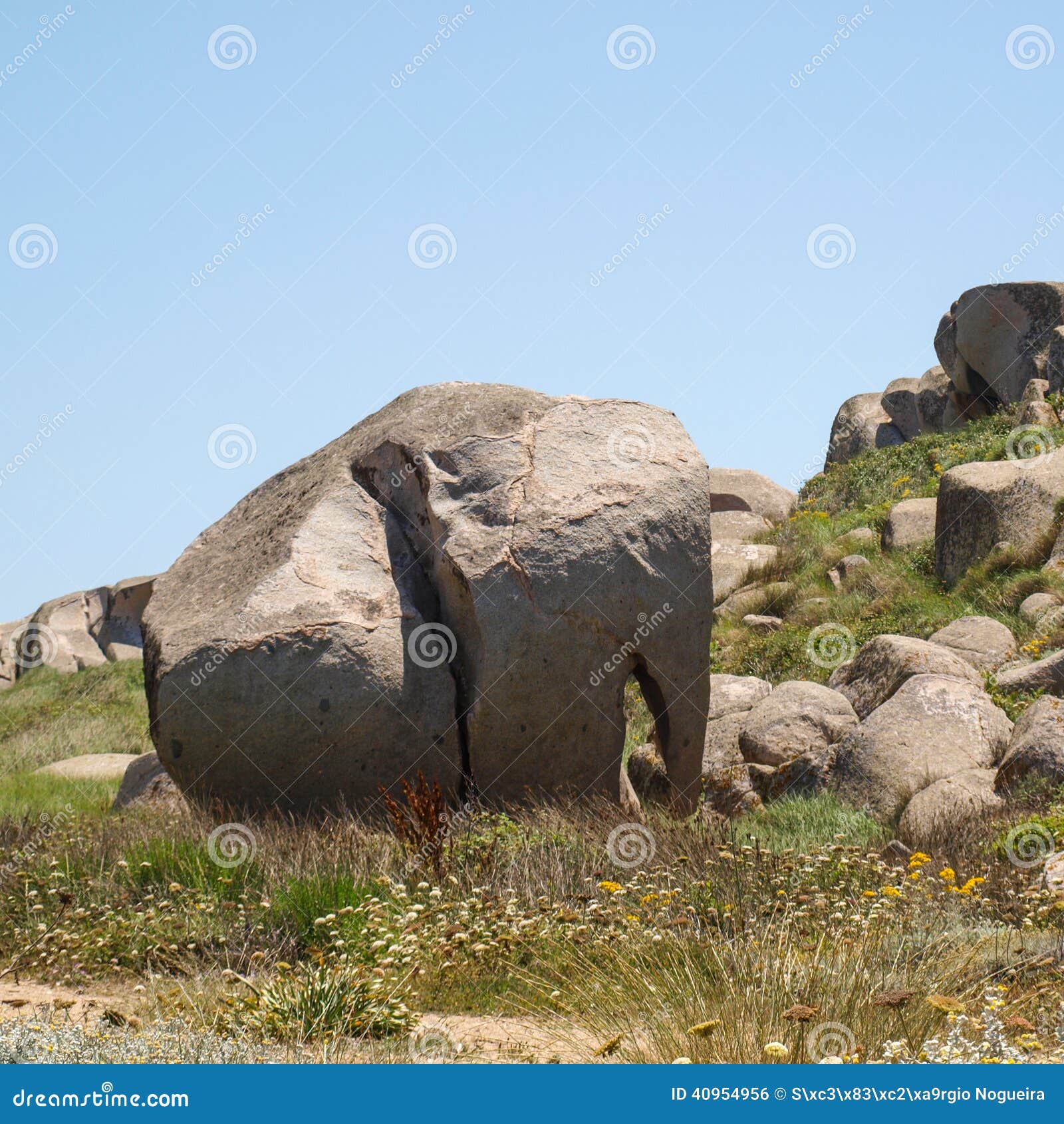 Elephant rock stock photo. Image of corsica, lavezzi - 40954956