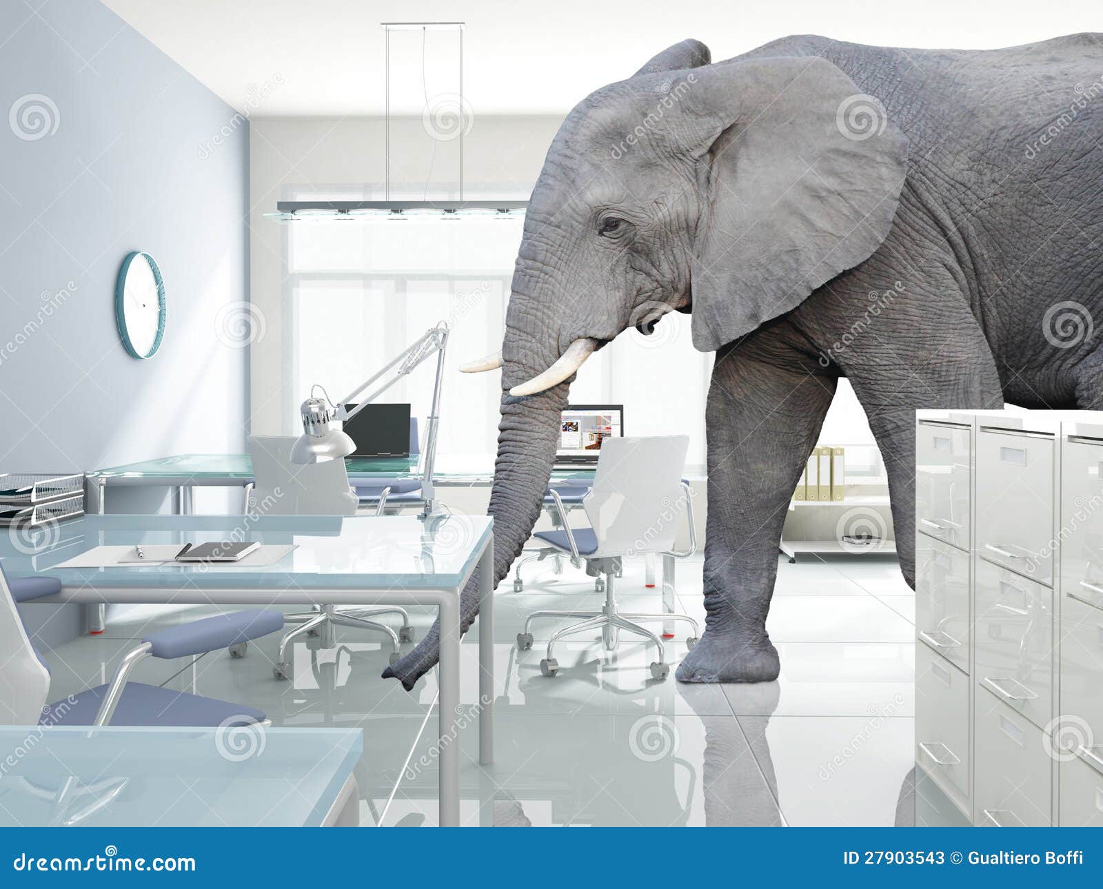 Elephant in a room stock image. Image of concept, problem - 27903543