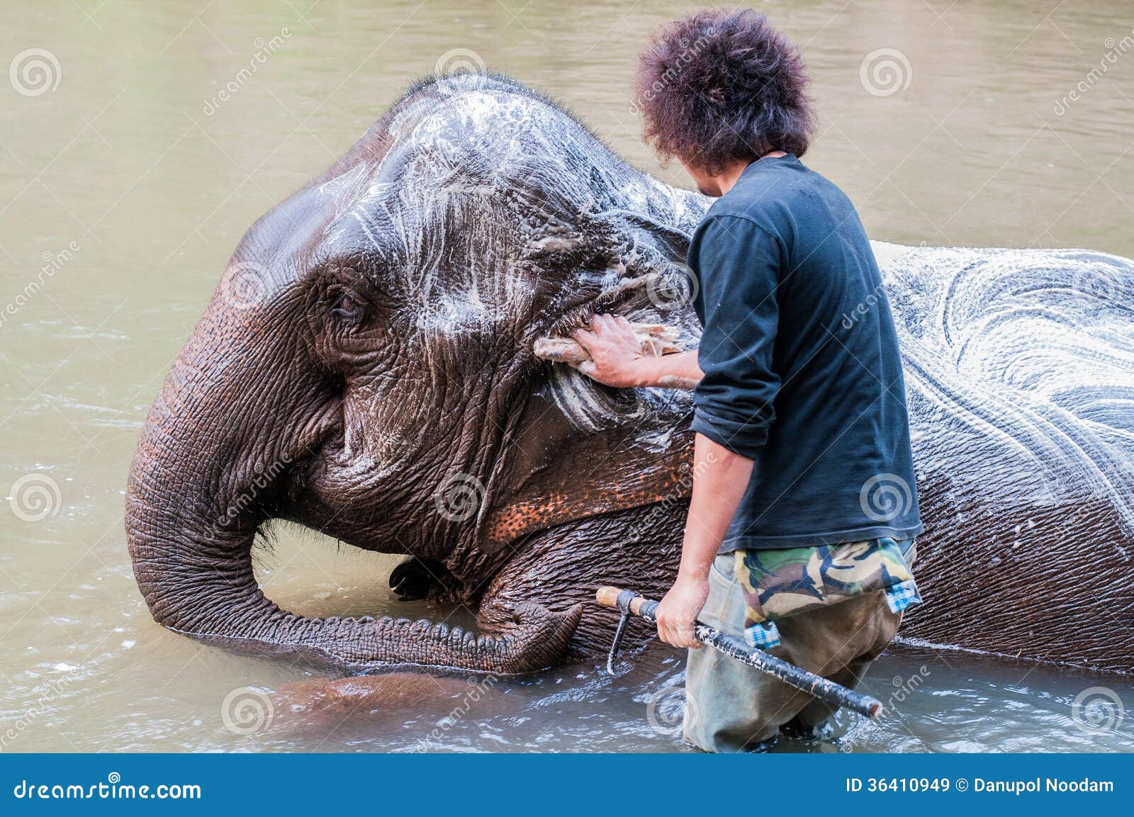 Elephant shower head editorial stock image. Image of friend 36410949
