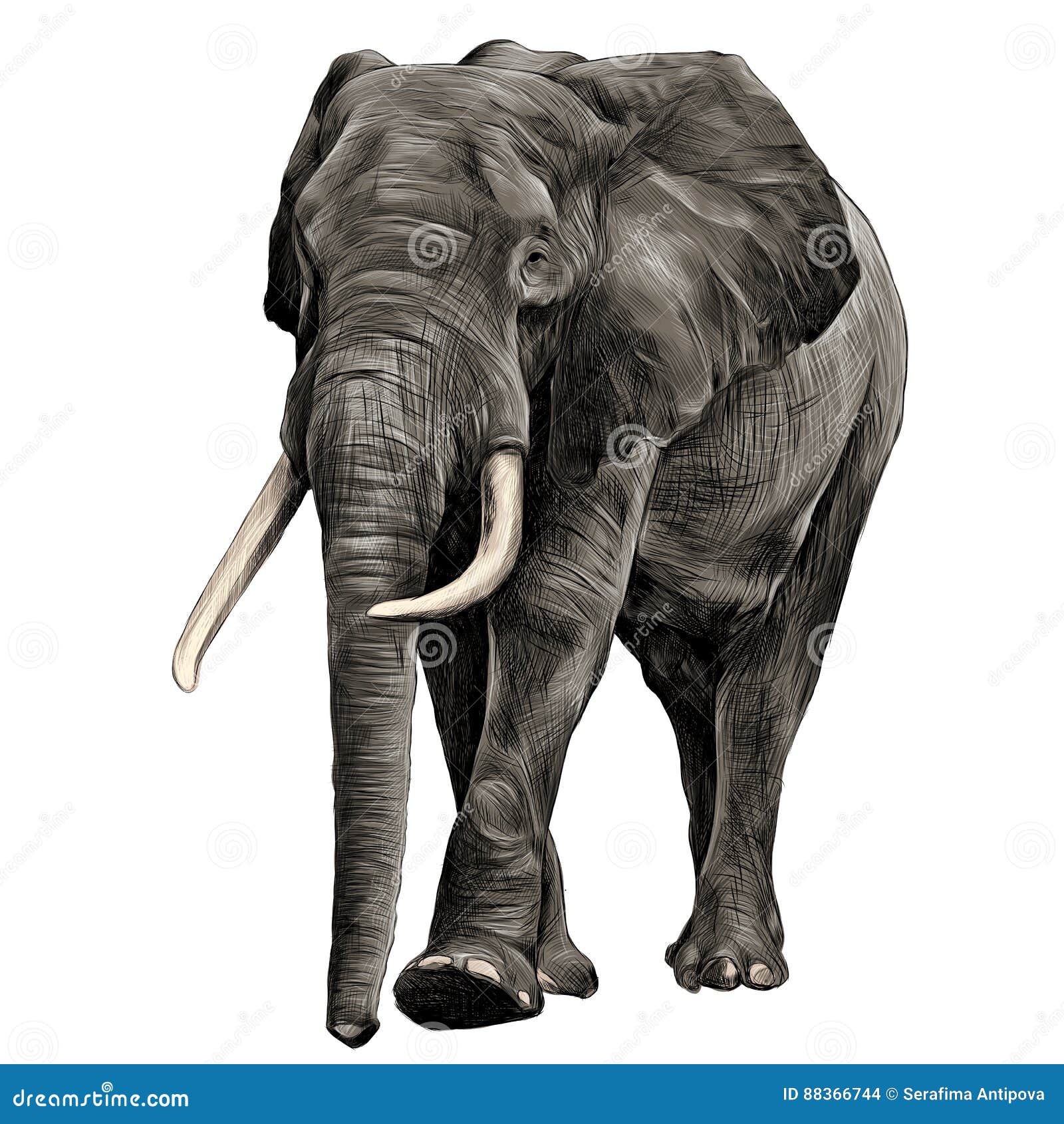 Free Free Elephant Sketch Svg 122 SVG PNG EPS DXF File