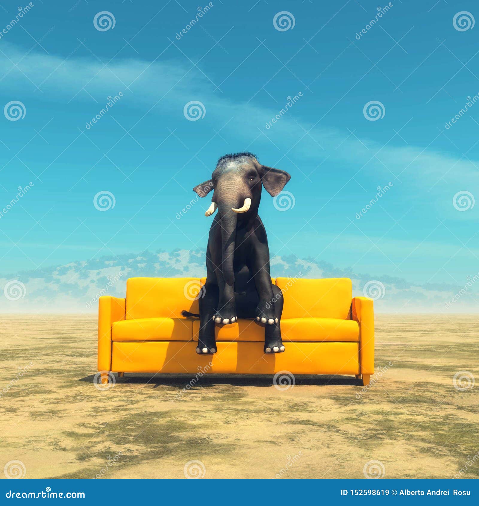 Elephant on sofa stock image. Image of surreal, lazy 152598619
