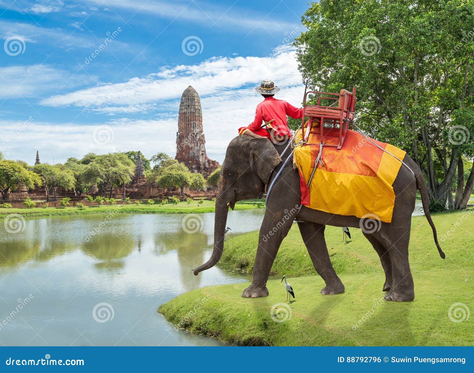 elephant for tourists ride tour on an of the ancient city old te