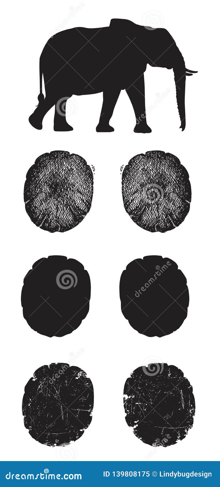 Vector Set of Elephant Tracks Stock Illustration Illustration of