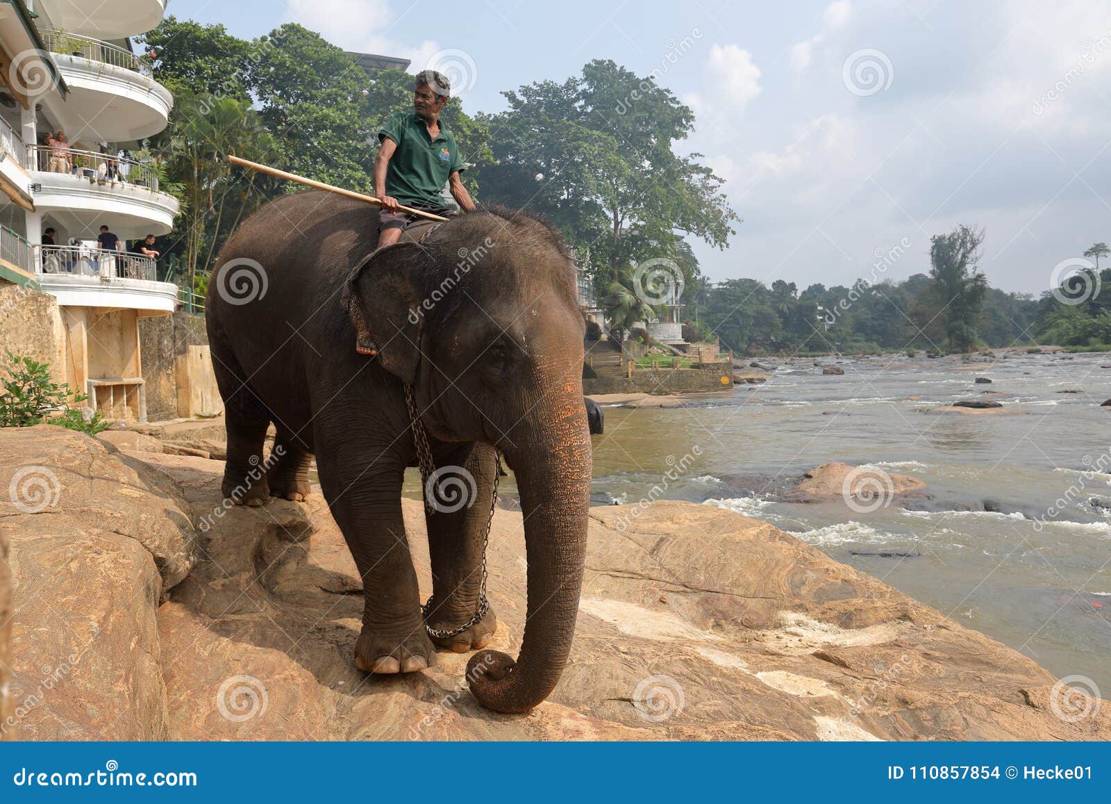 Elephants Ride in Sri Lanka Editorial Stock Image Image of india