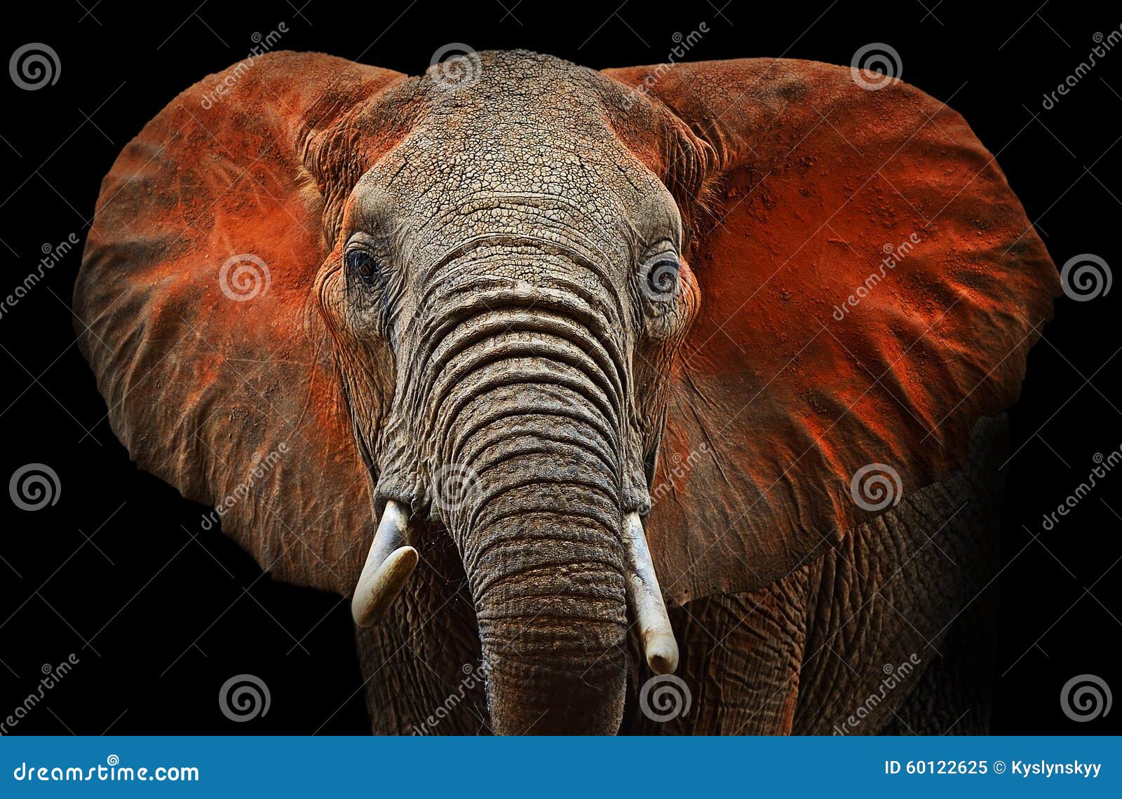 elephants of tsavo