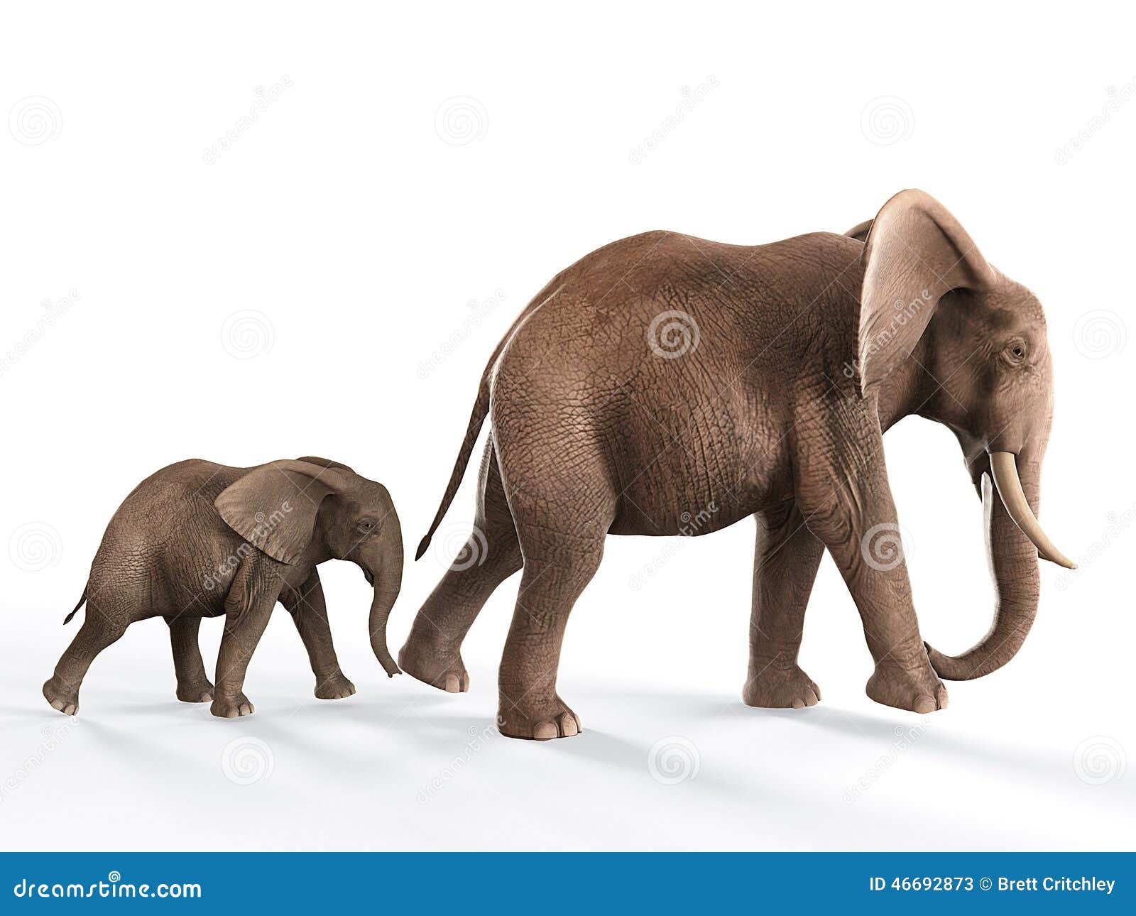 Elephants Walking Baby Elephant Stock Illustration Illustration Of Procession Wildlife