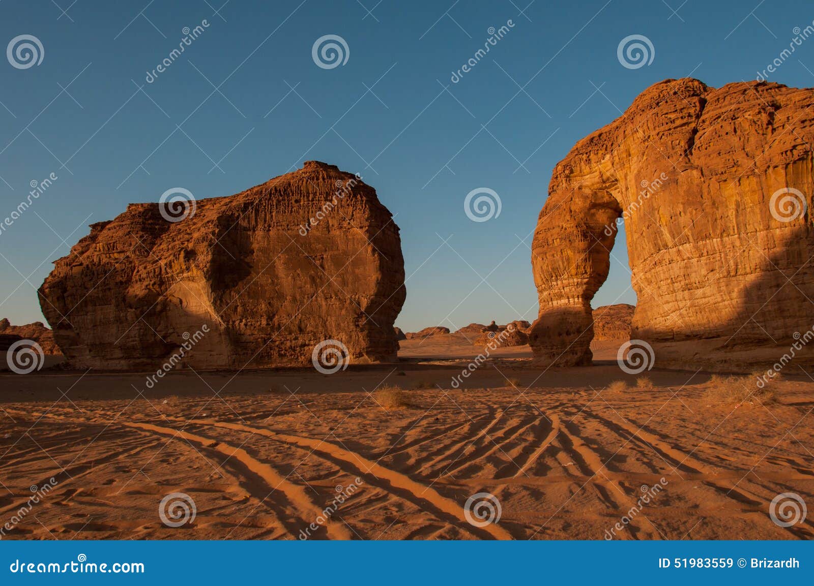 eleplant rock formation in the deserts of saudi arabia