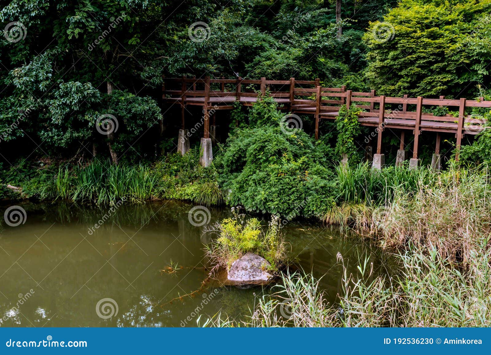 Elevated Boardwalk On Shore Of Small Pond Stock Photo Image Of