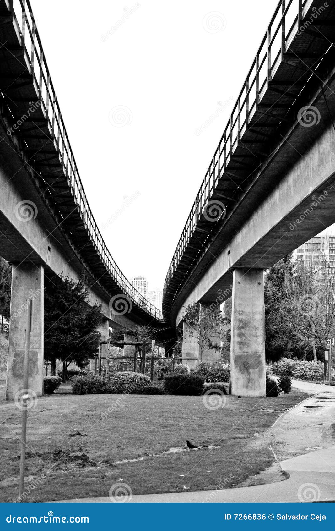 Elevated Train Tracks Royalty Free Stock Image Image 7266836