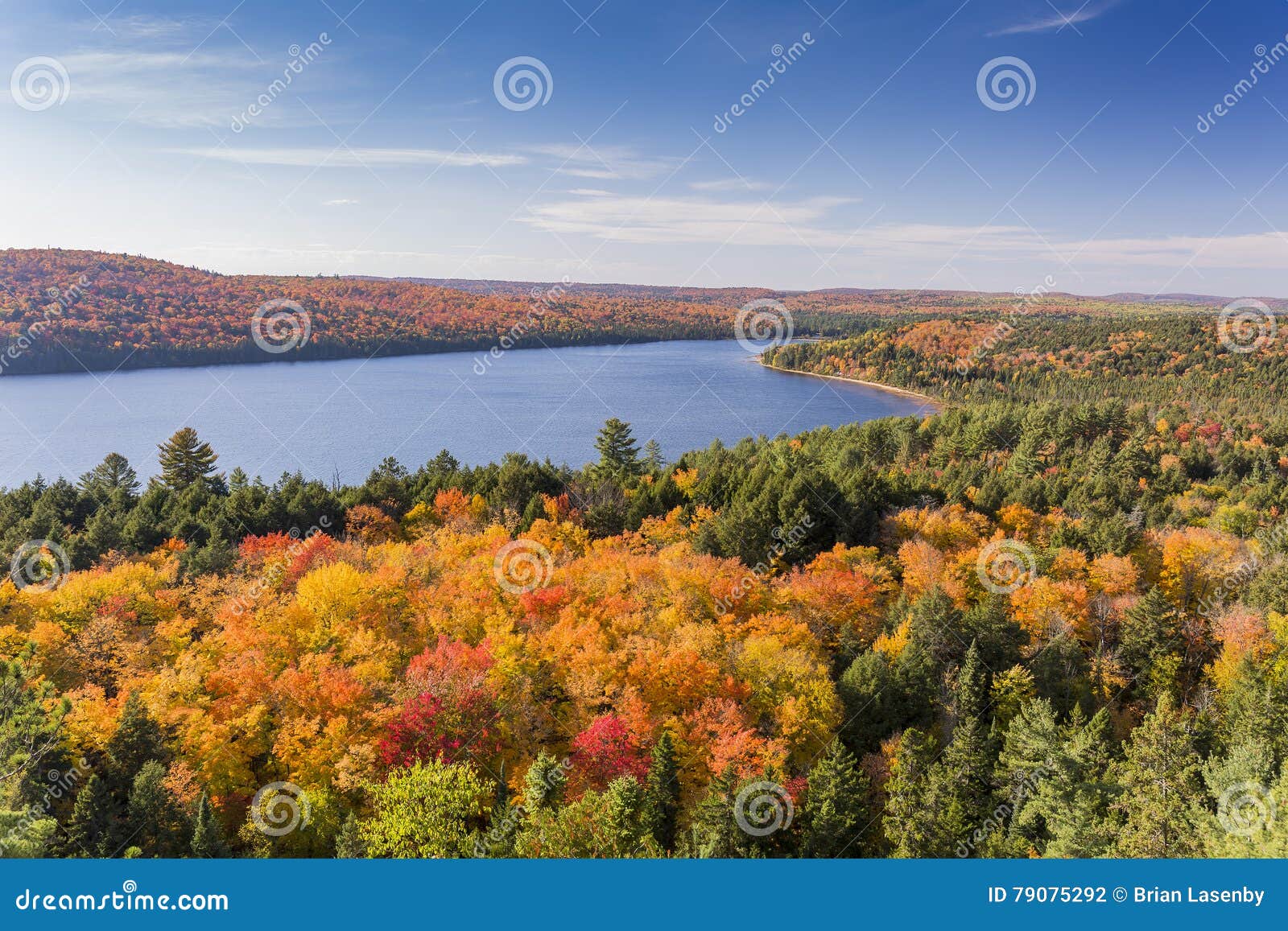 elevated view of lake and fall foliage - ontario, canada
