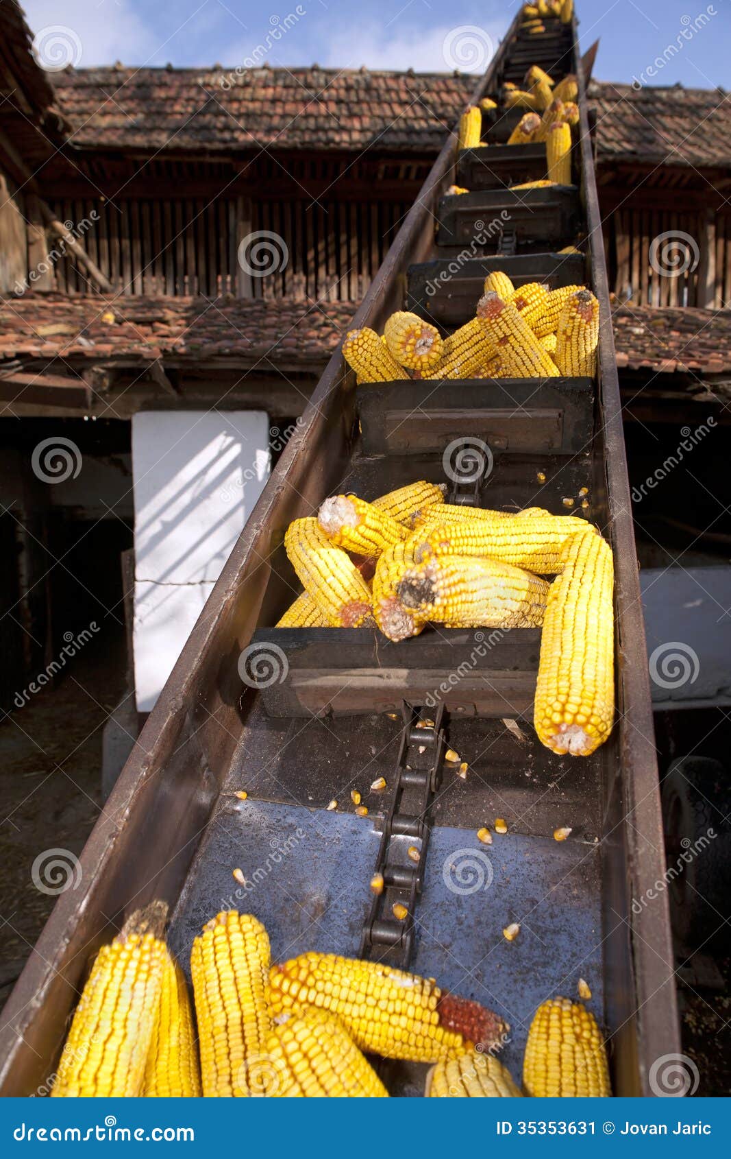 Elevator for corn cobs stock image. Image of cultivated 35353631