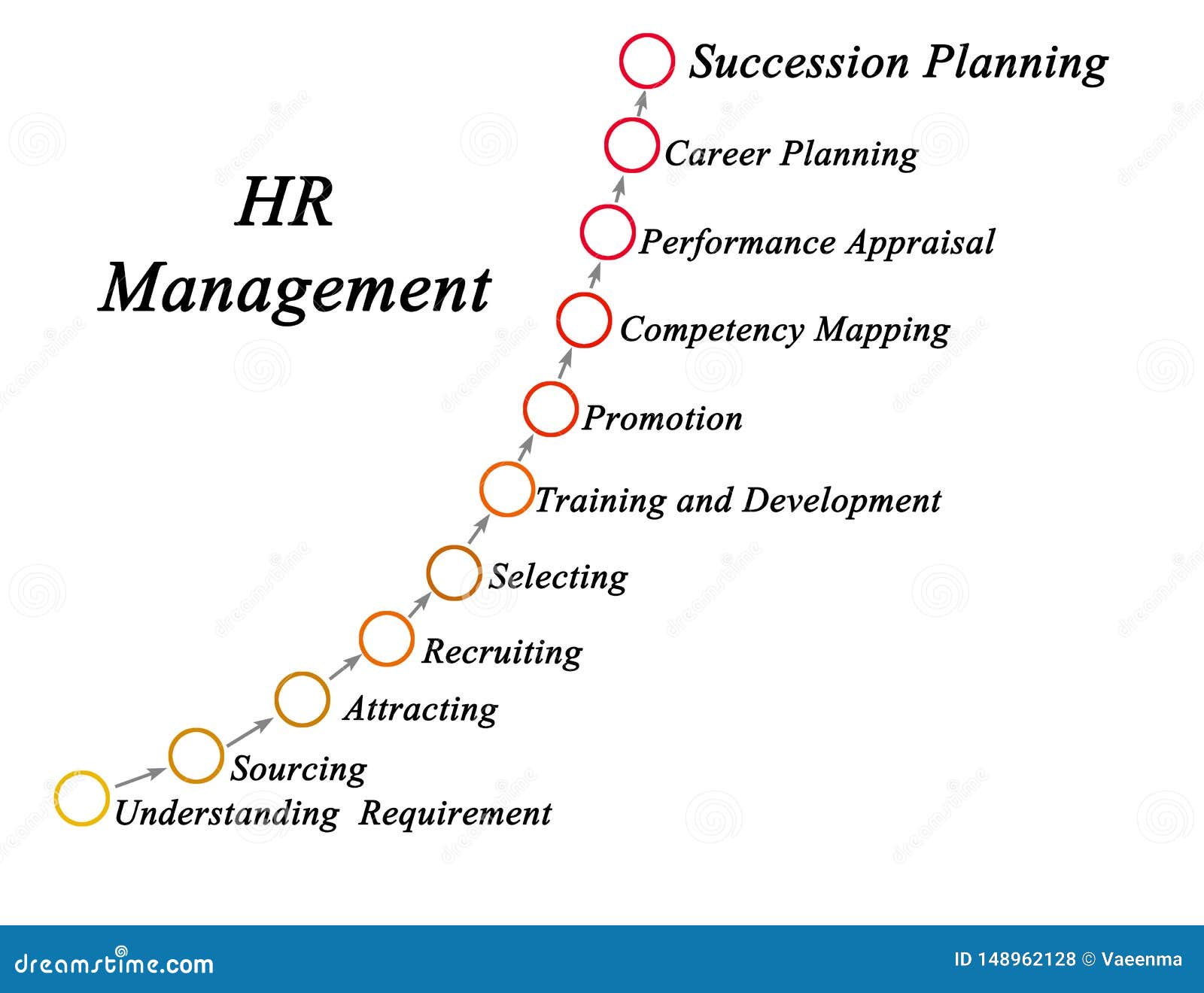 Components of HR Management Stock Photo Image of concept, recruiting