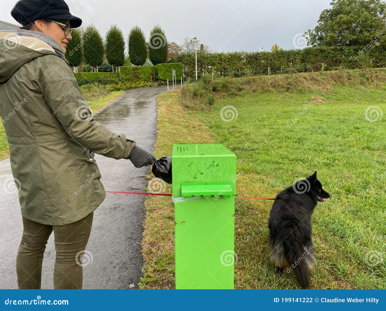 Eliminación De Bolsas De Caca De Perro En Un Contenedor Verde Foto de  archivo - Imagen de compartimiento, parcial: 199141222