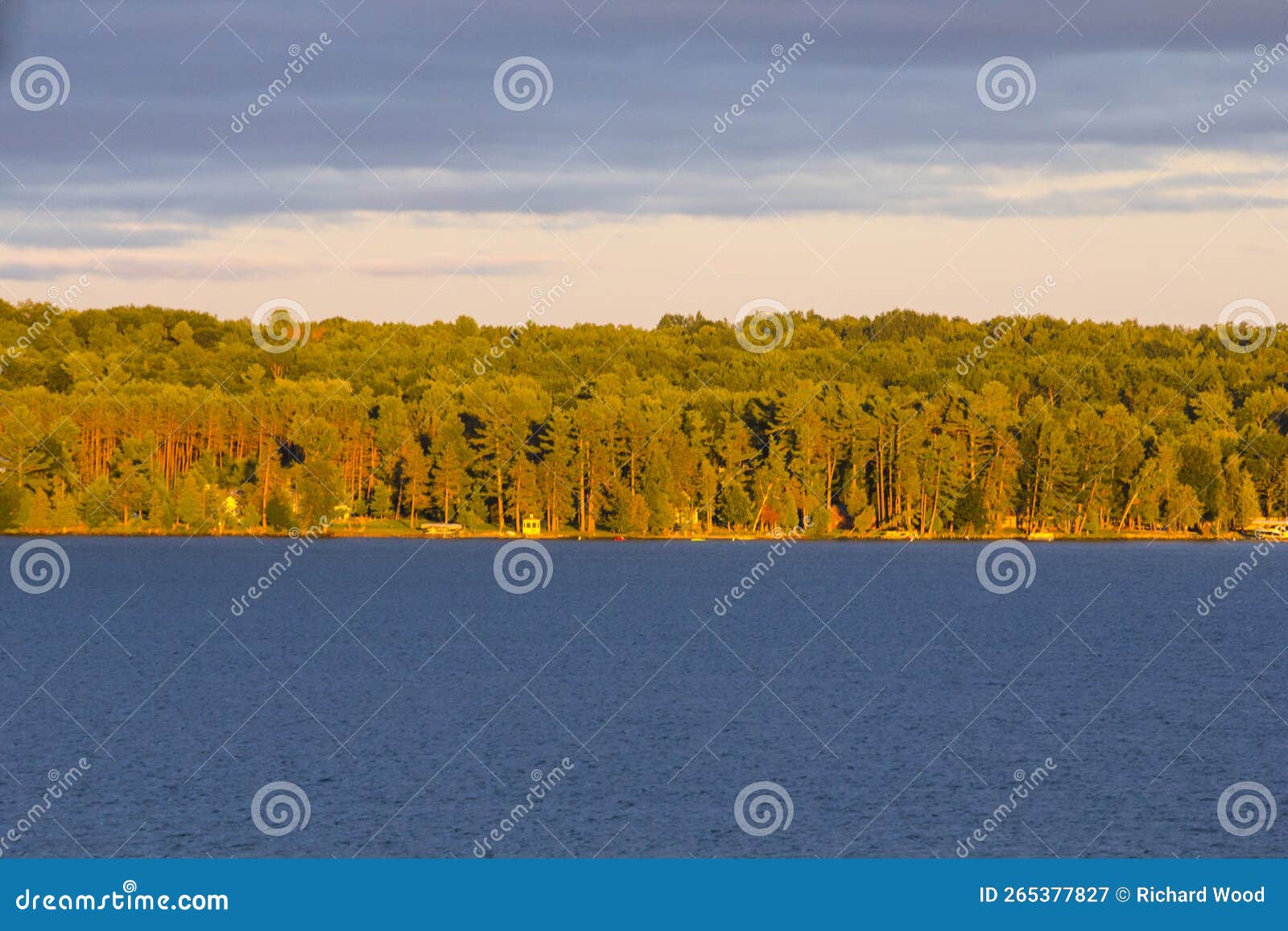 Elk Lake, Michigan stock image. Image of lake, scenic 265377827