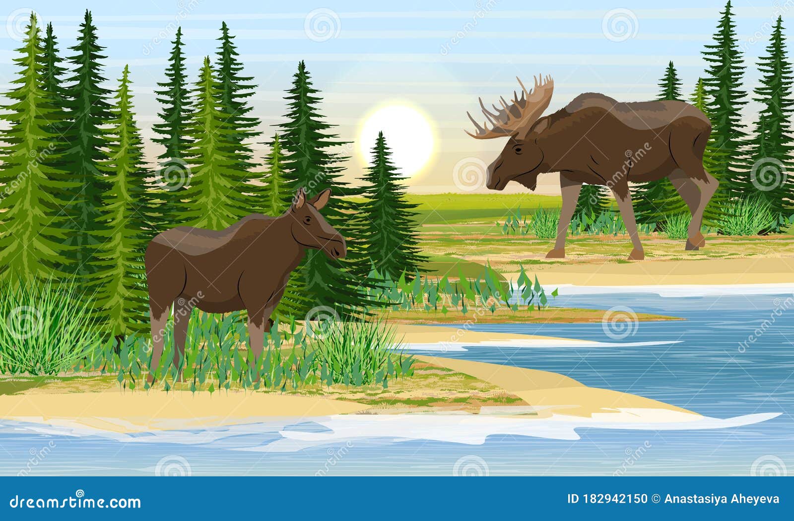 Elk and Moose Cow on the Shore of a Forest Lake. the Mating Behavior of Wild Animals Stock Vector - Illustration of meadow, moose: 182942150 Elk and Moose Cow on the Shore of a Forest Lake. the Mating Behavior of Wild Animals Stock Vector - Illustration of meadow, moose: 182942150