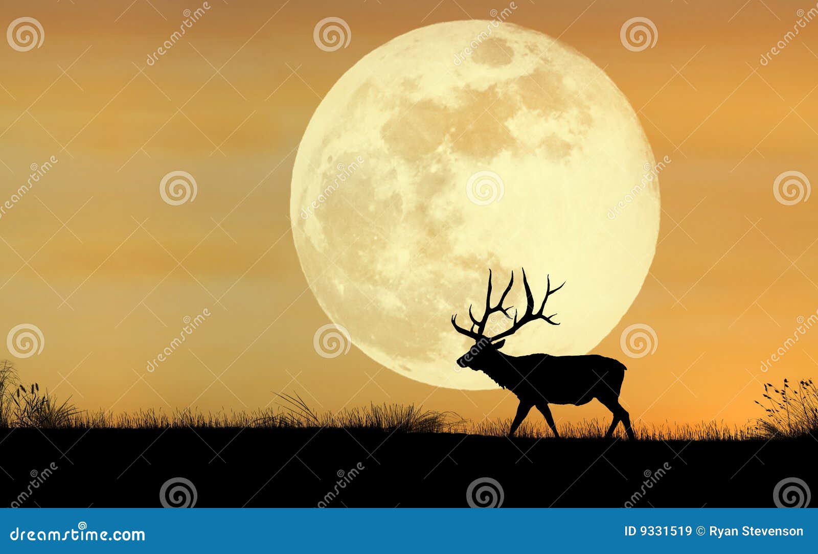 elk silhouette