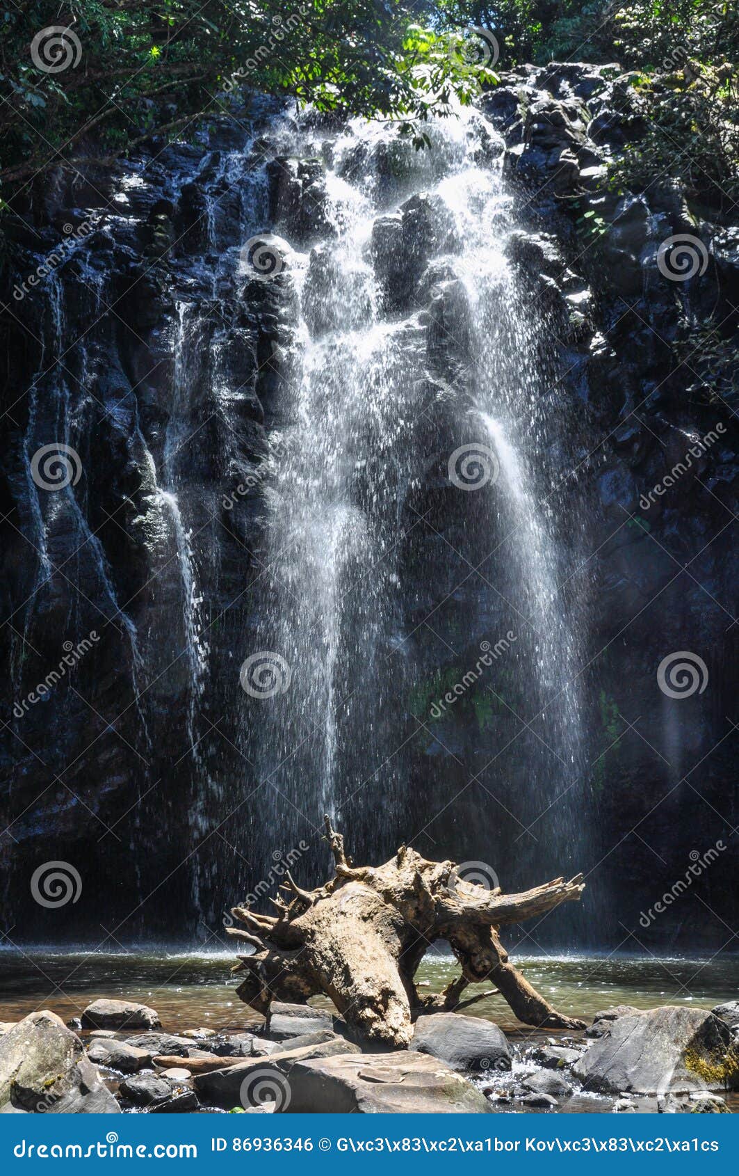 ellinjaa falls in atherton tablelands, australia