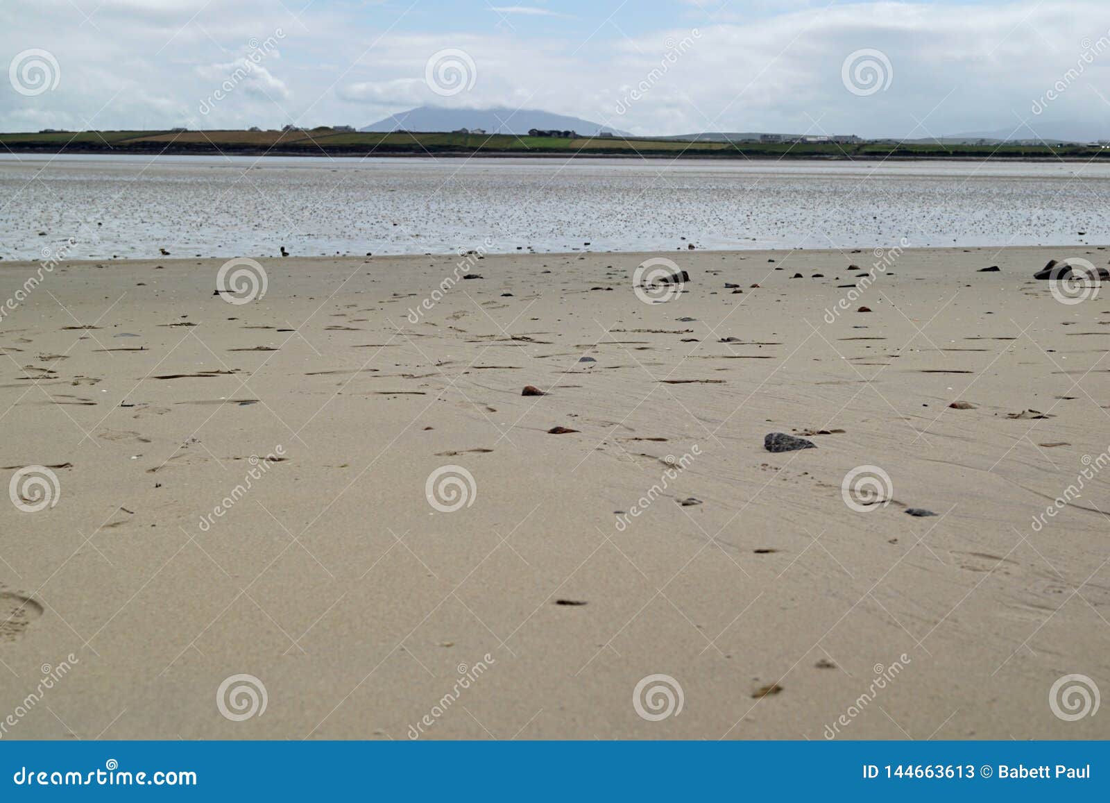 wild atlantic way   elly beach