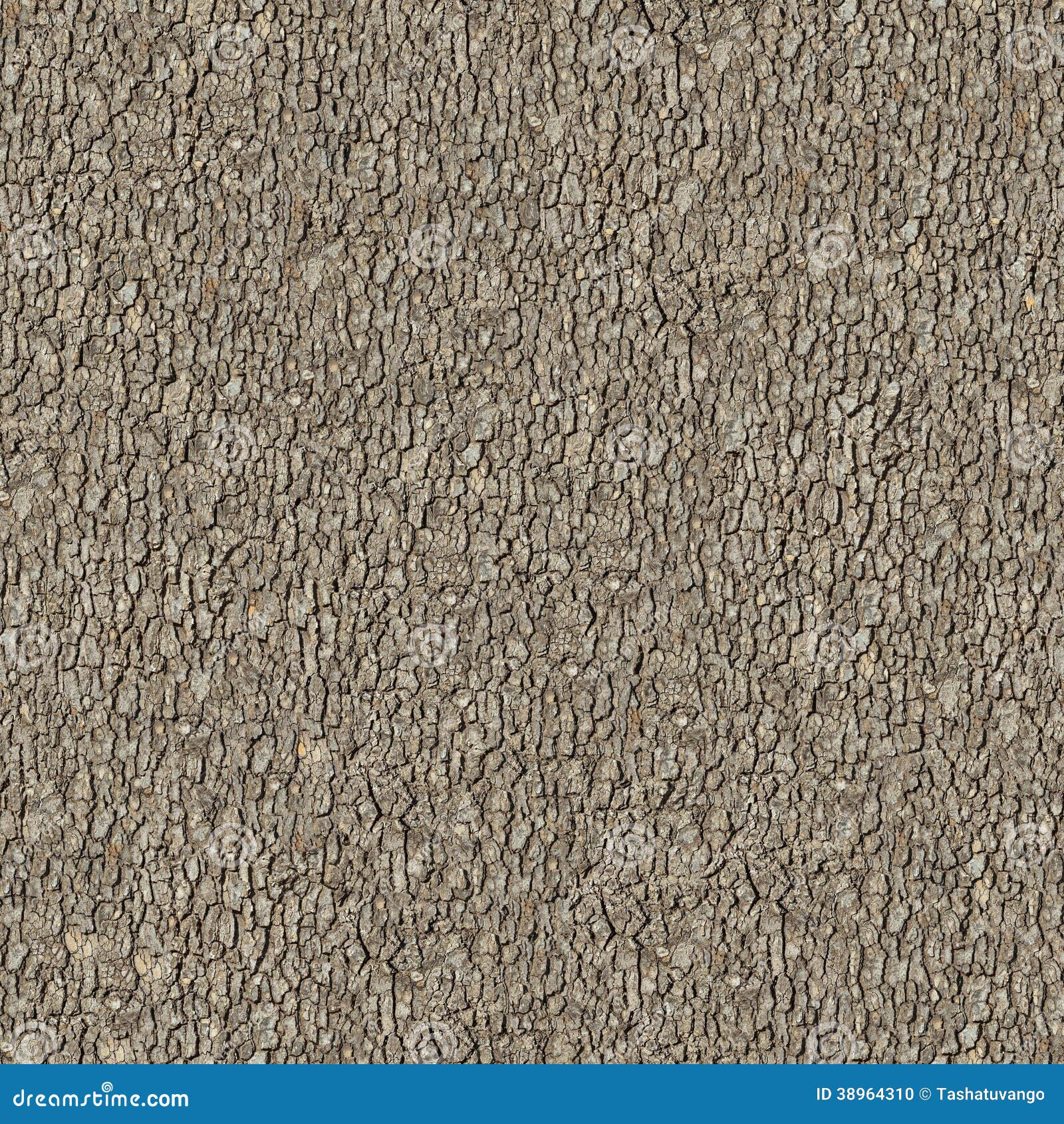 elm bark. seamless tileable texture.