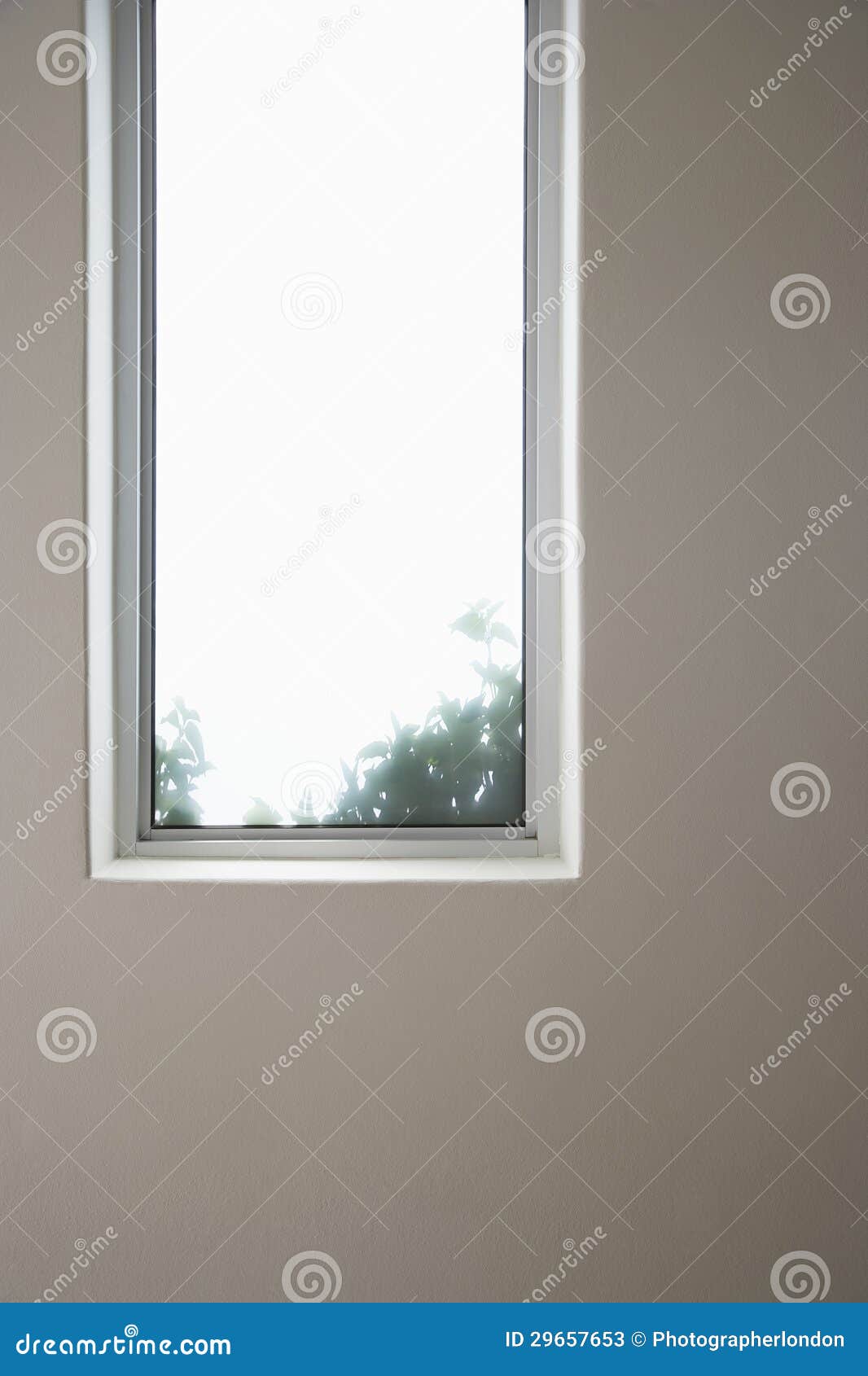 elongated window