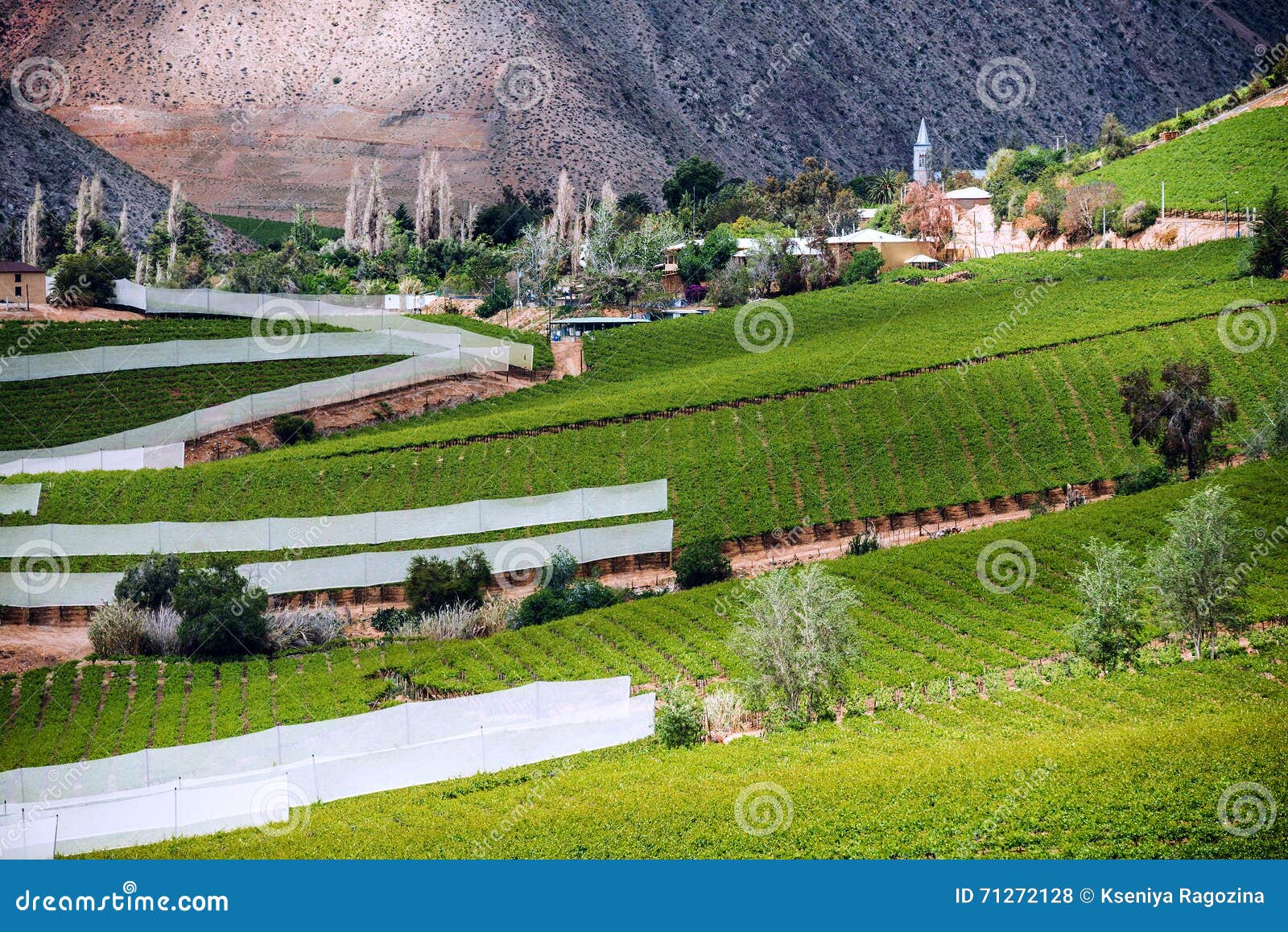 elqui valley, andes part of atacama desert