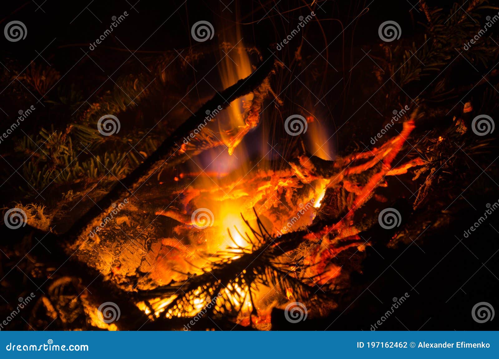 Embers Burn Down in a Hardwood Fire Stock Photo Image of element
