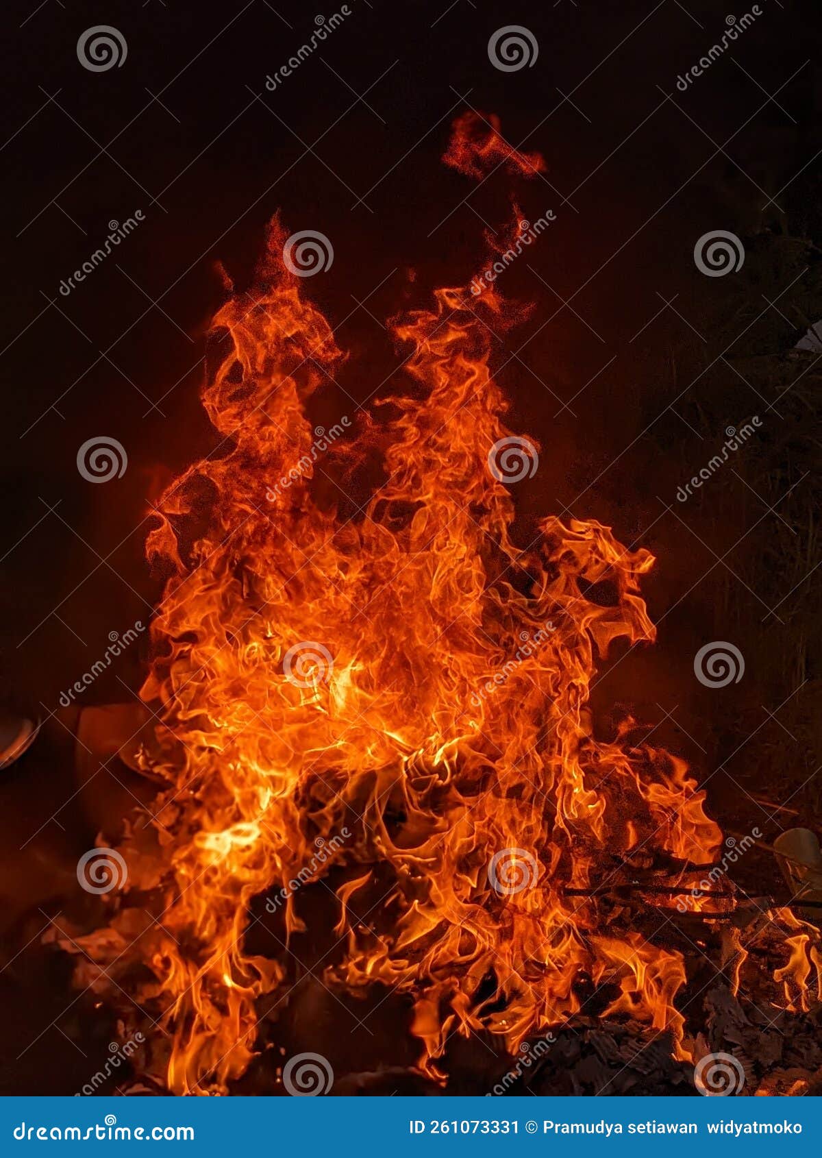 The embers are burning stock image. Image of quail, campfire 261073331