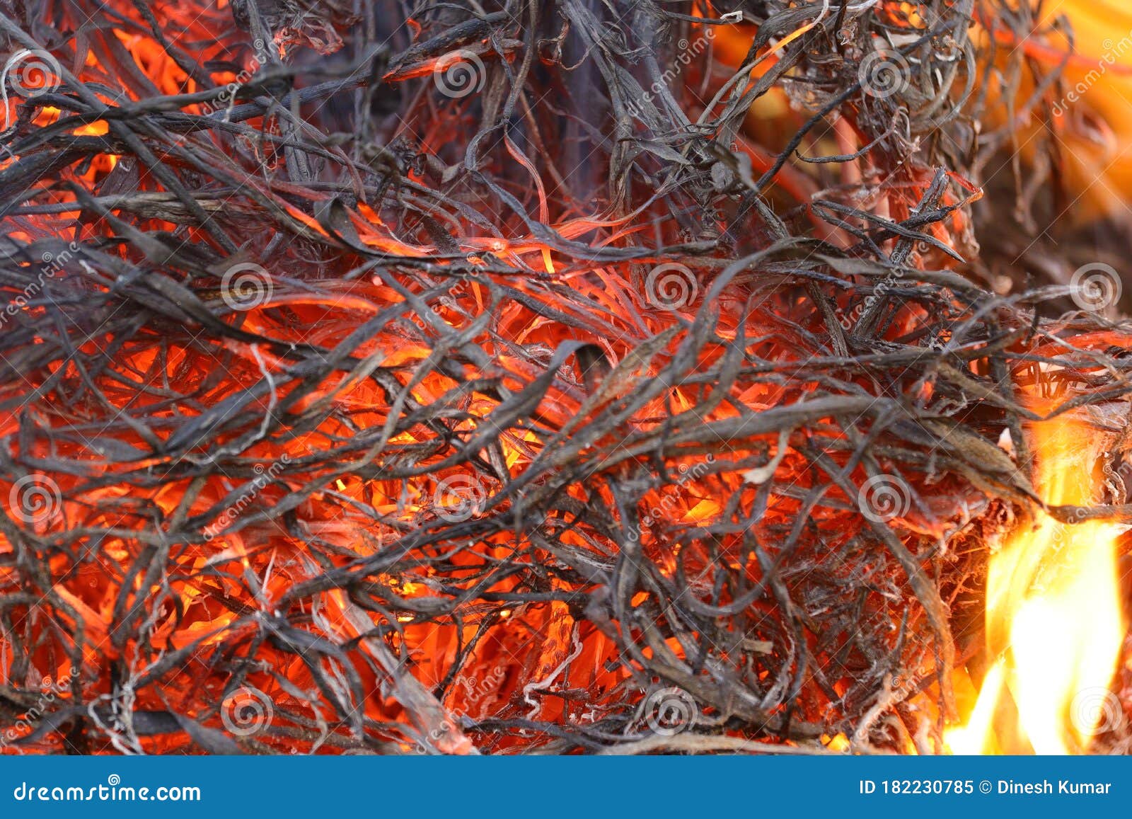 Embers of burning fire stock image. Image of burn, heating 182230785