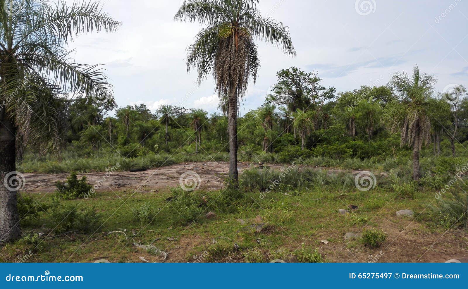 emboscada cordilleras paraguay