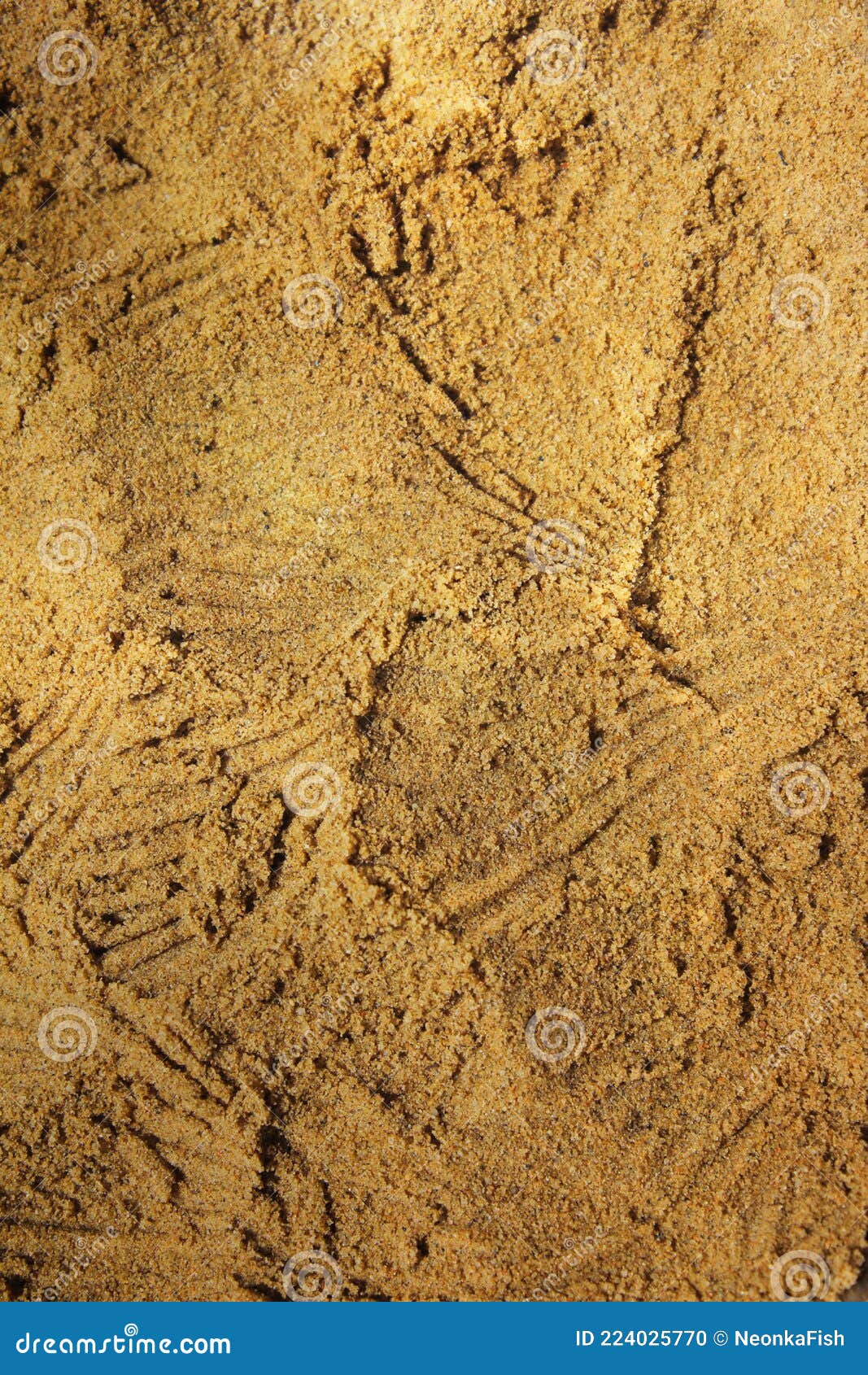 remarkable natural rough sand texture with conch imprints