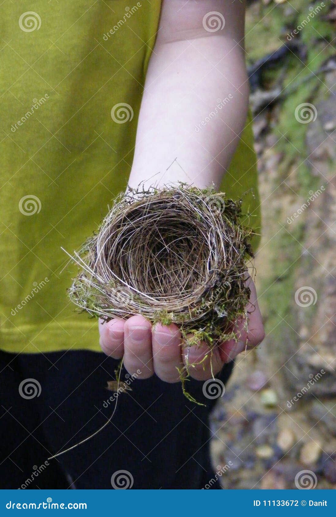 Emboîtement d'oiseau dans une main d'enfant