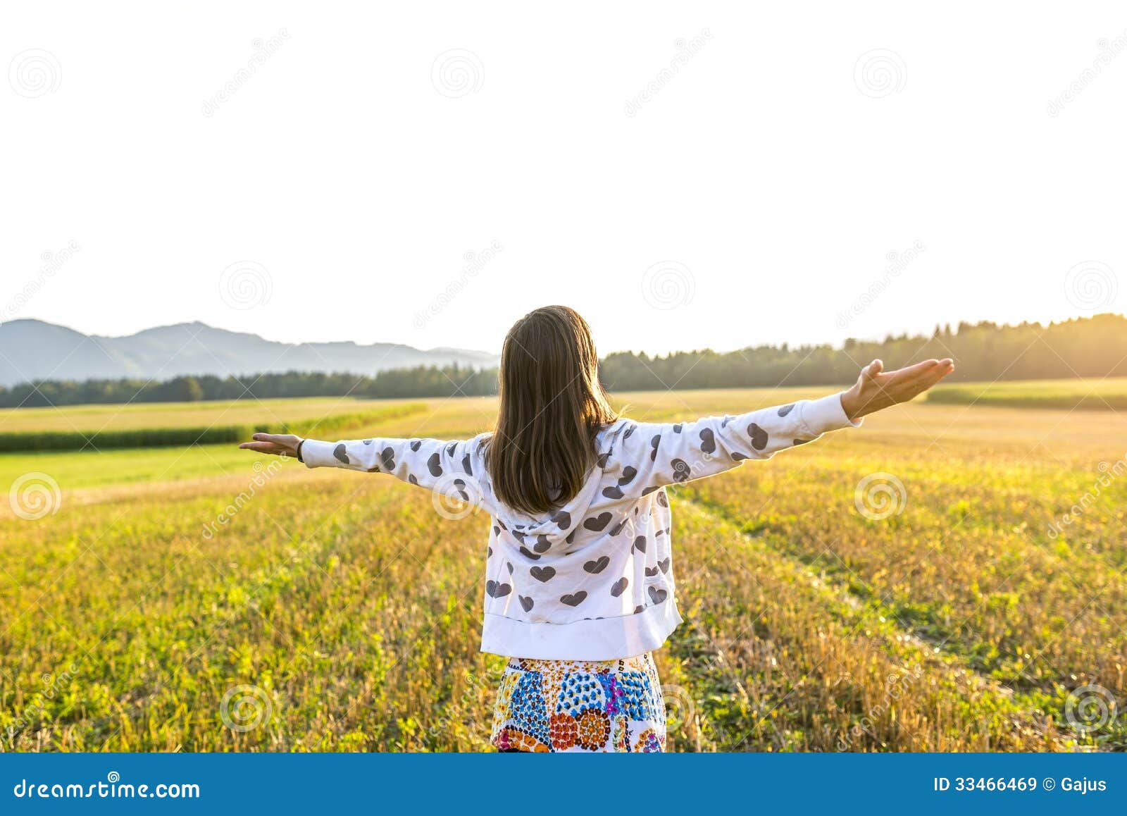 Embracing life stock image. Image of arms, carefree, happiness - 33466469